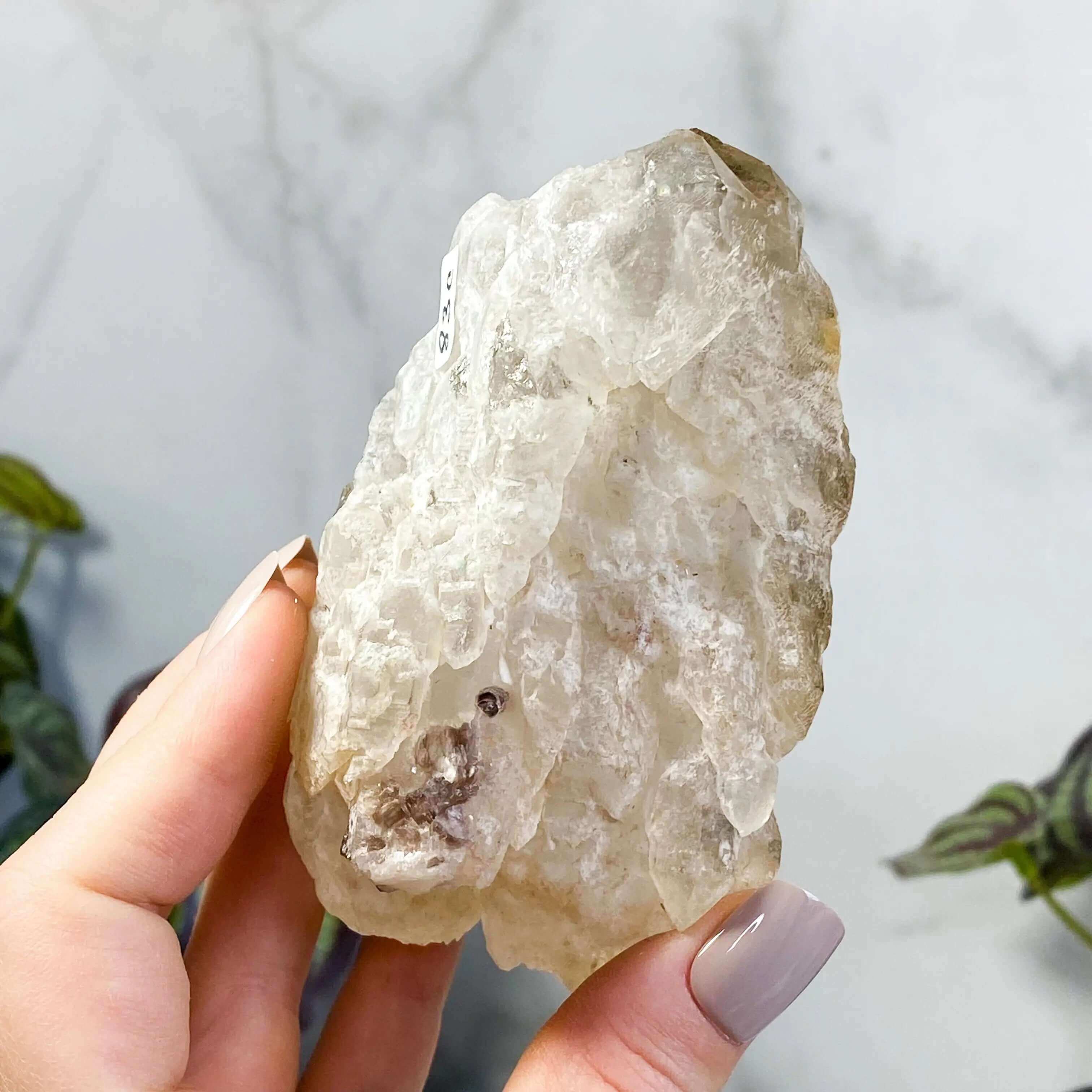 Etched Light Smoky Elestial Quartz | Stock C Mooncat Crystals