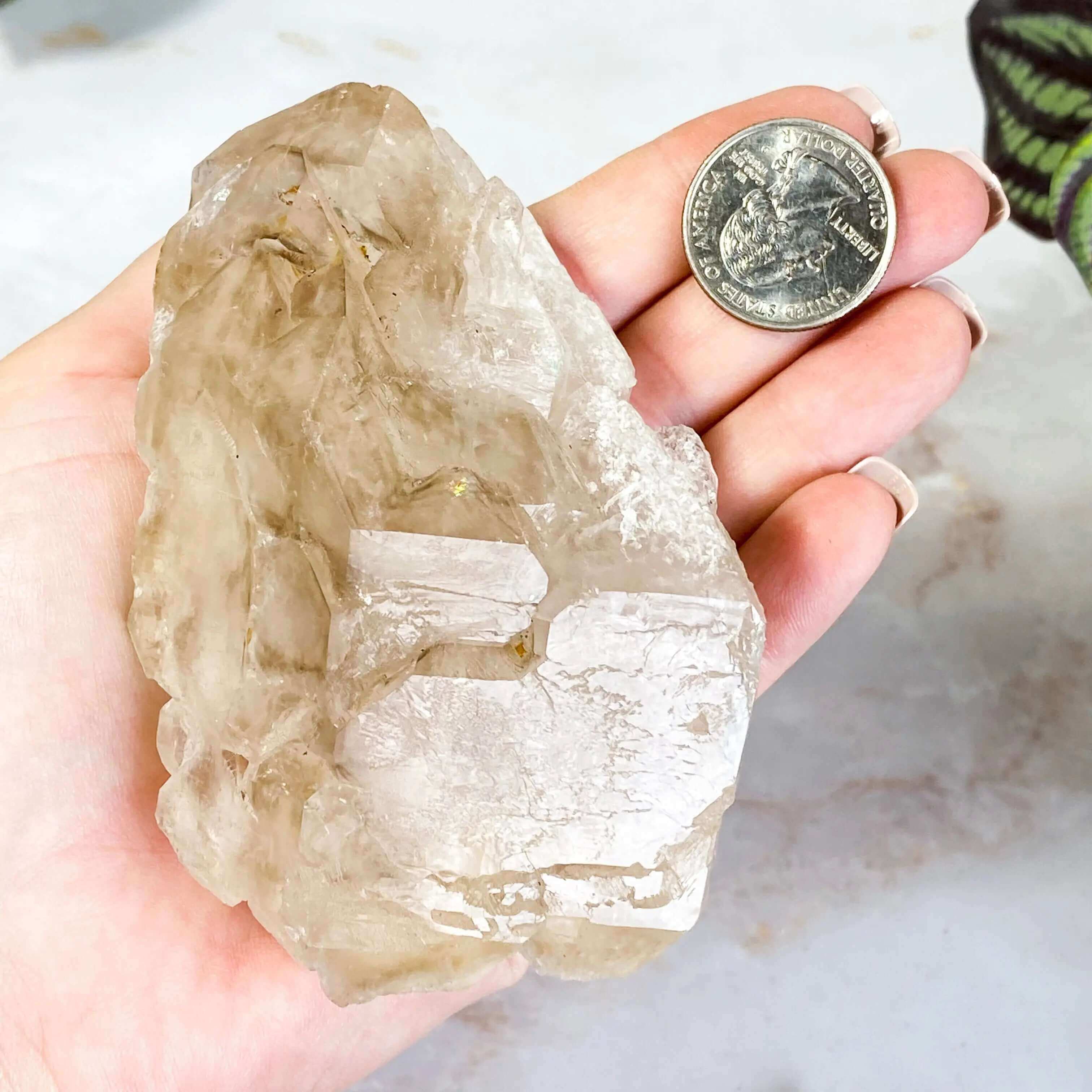 Etched Light Smoky Elestial Quartz | Stock C Mooncat Crystals