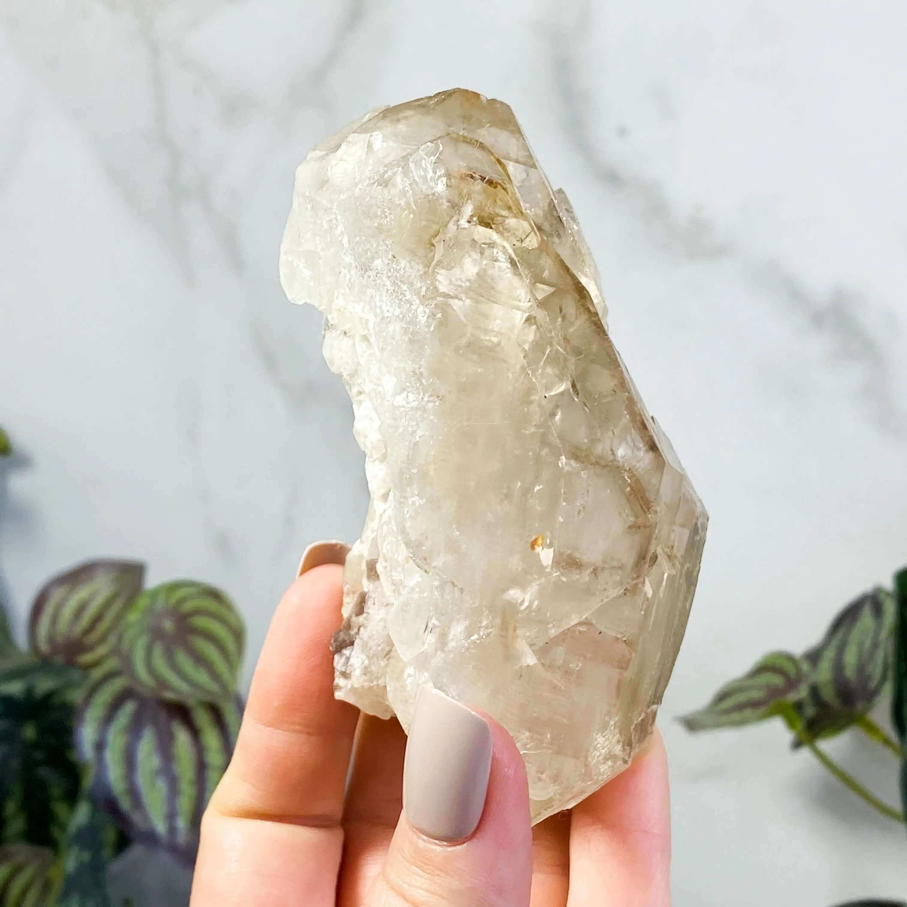 Etched Light Smoky Elestial Quartz | Stock C Mooncat Crystals