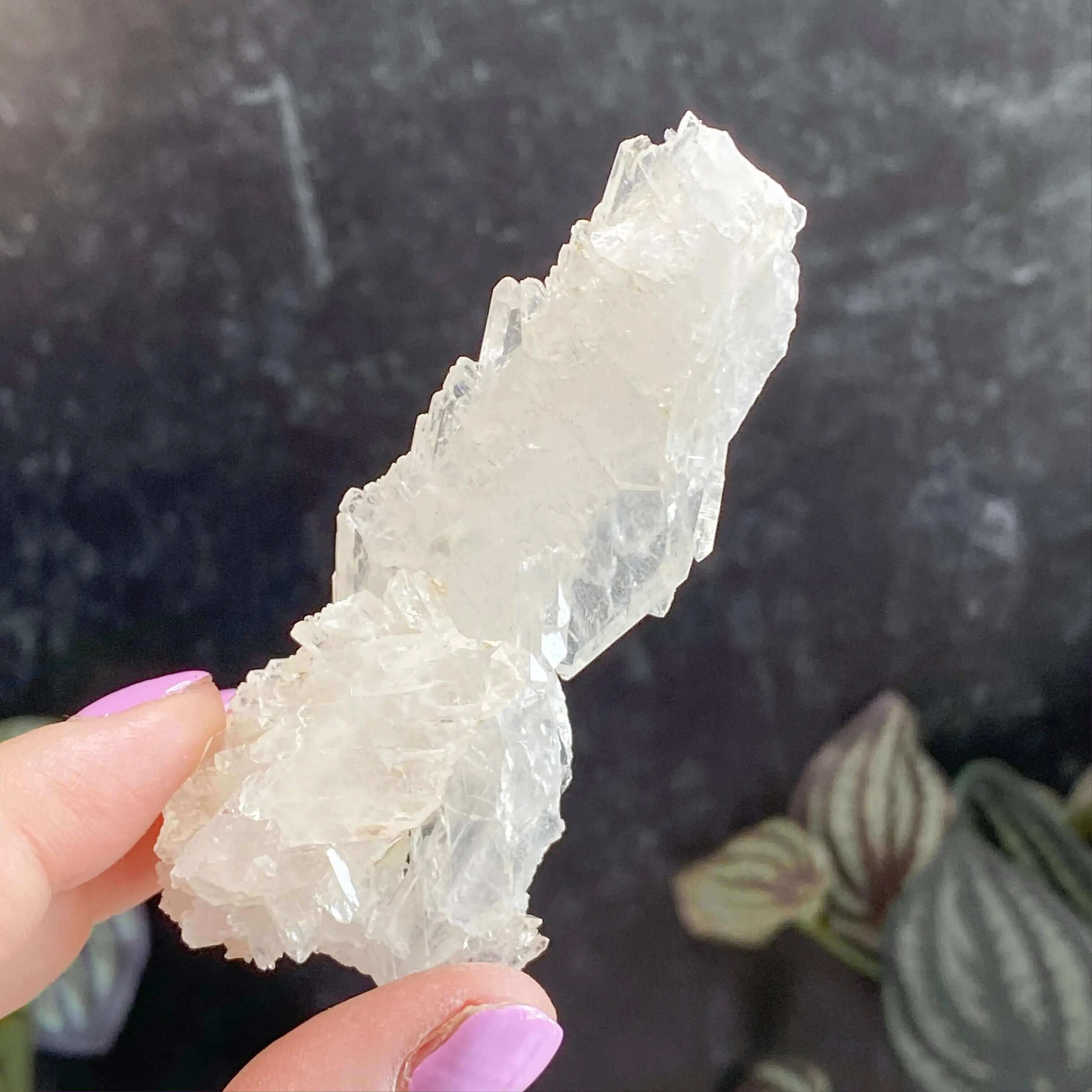 Faden Quartz | Stock A Mooncat Crystals