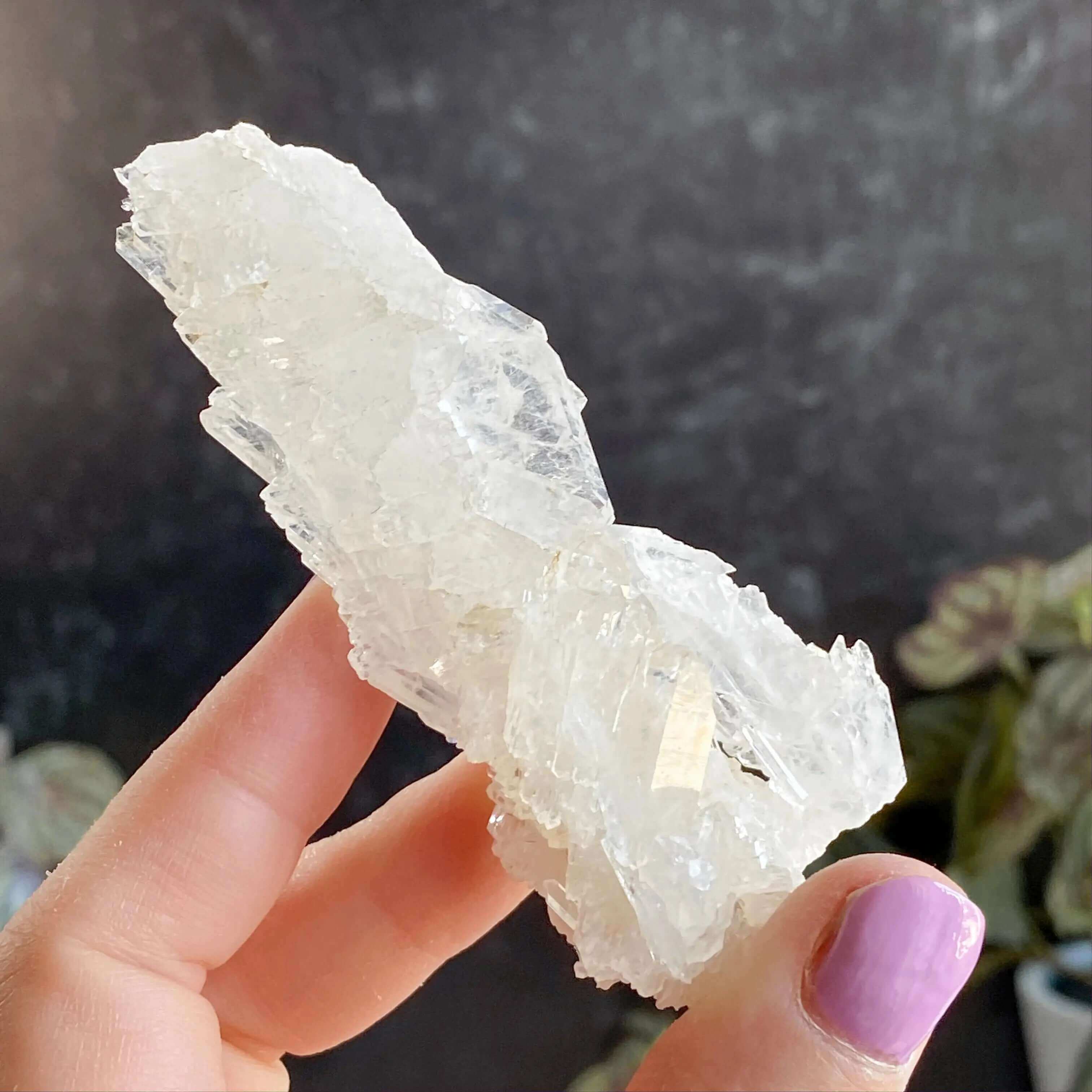 Faden Quartz | Stock A Mooncat Crystals