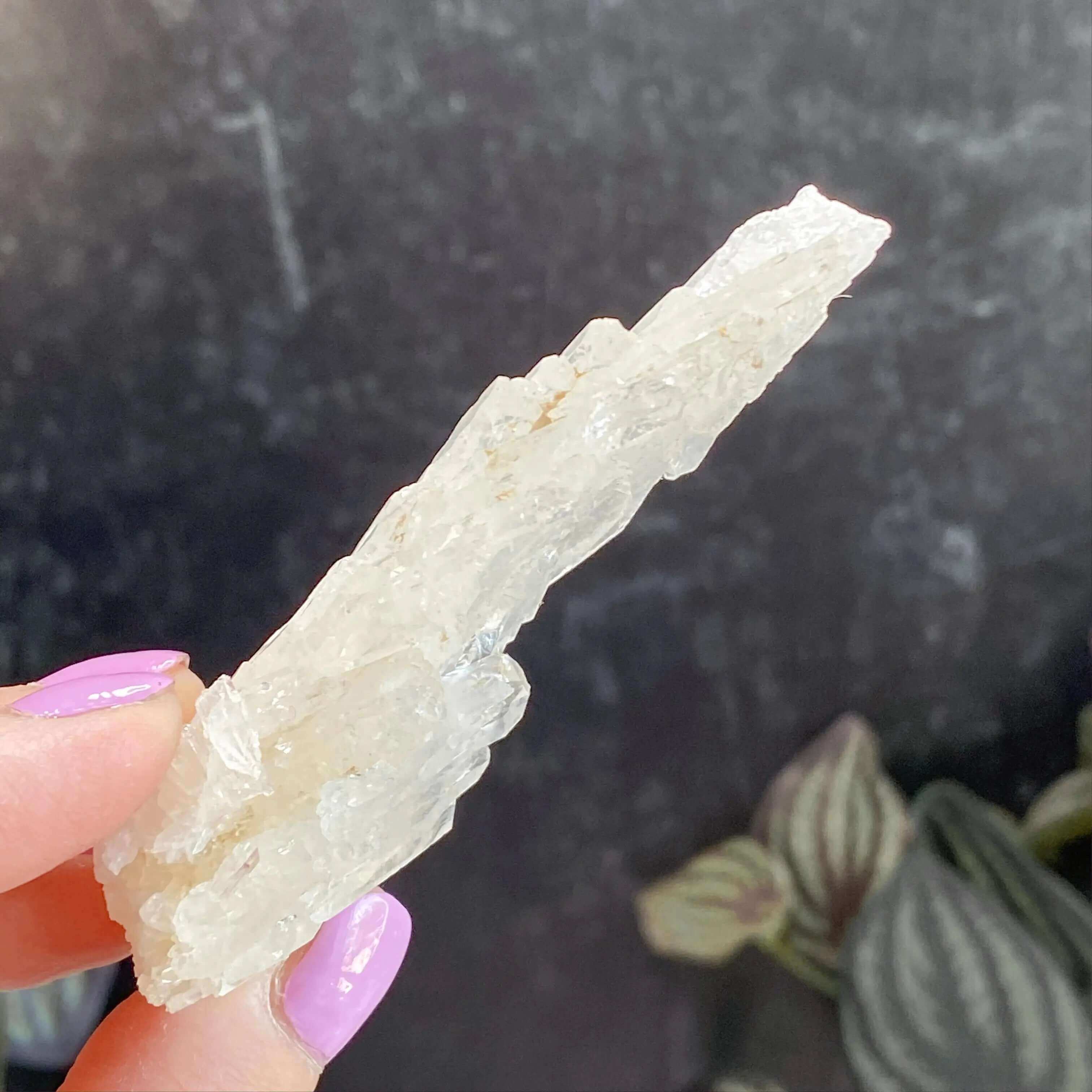 Faden Quartz | Stock A Mooncat Crystals