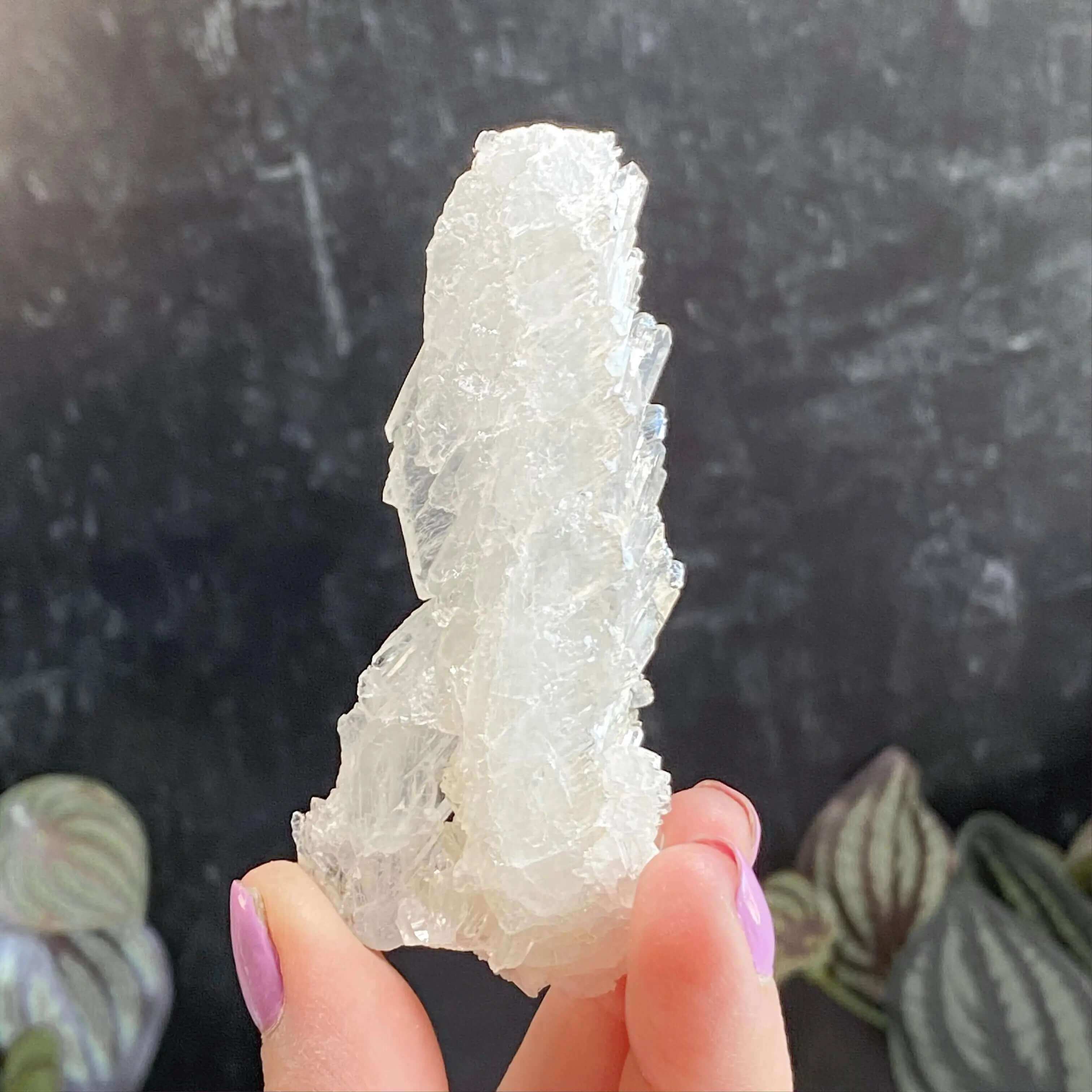 Faden Quartz | Stock A Mooncat Crystals
