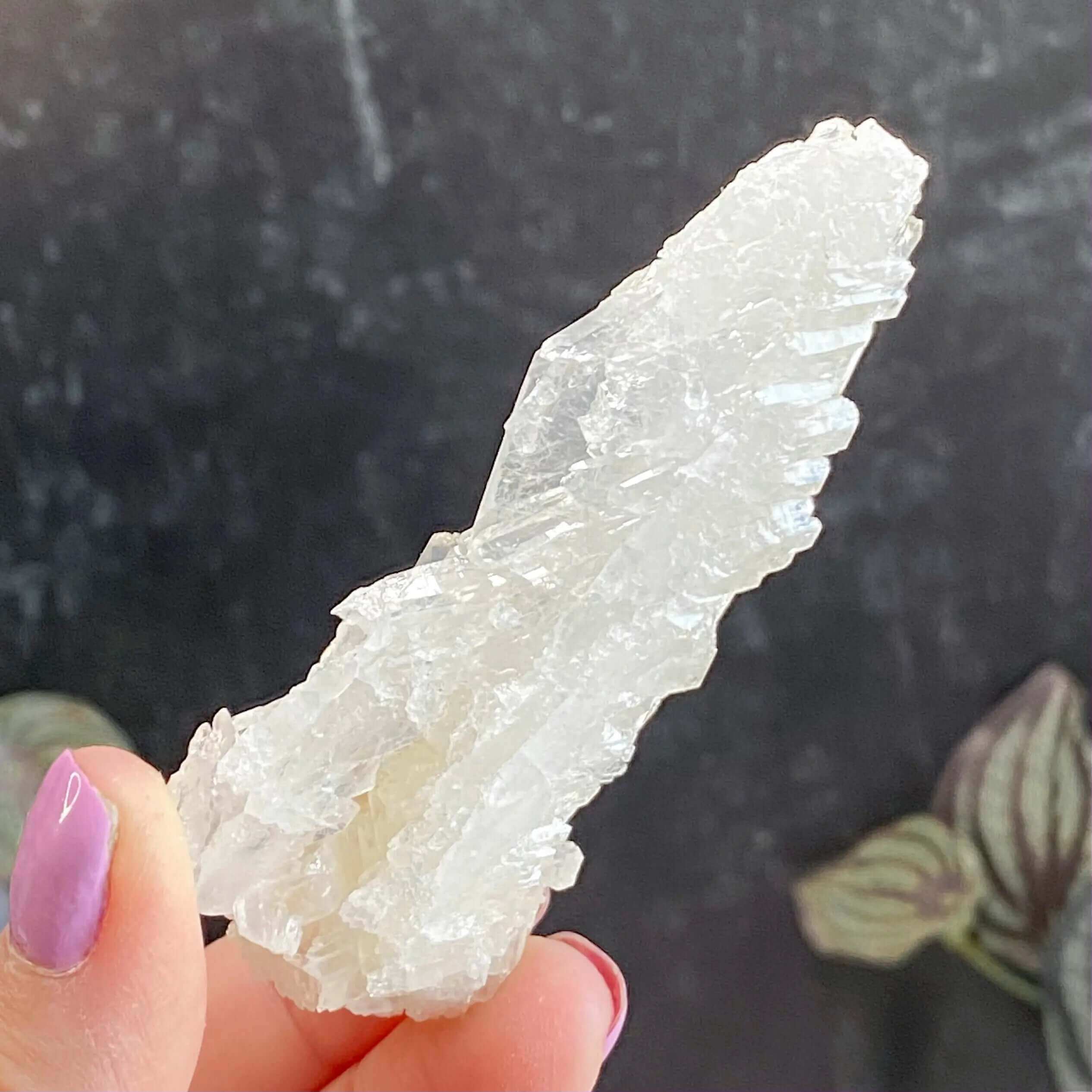 Faden Quartz | Stock A Mooncat Crystals