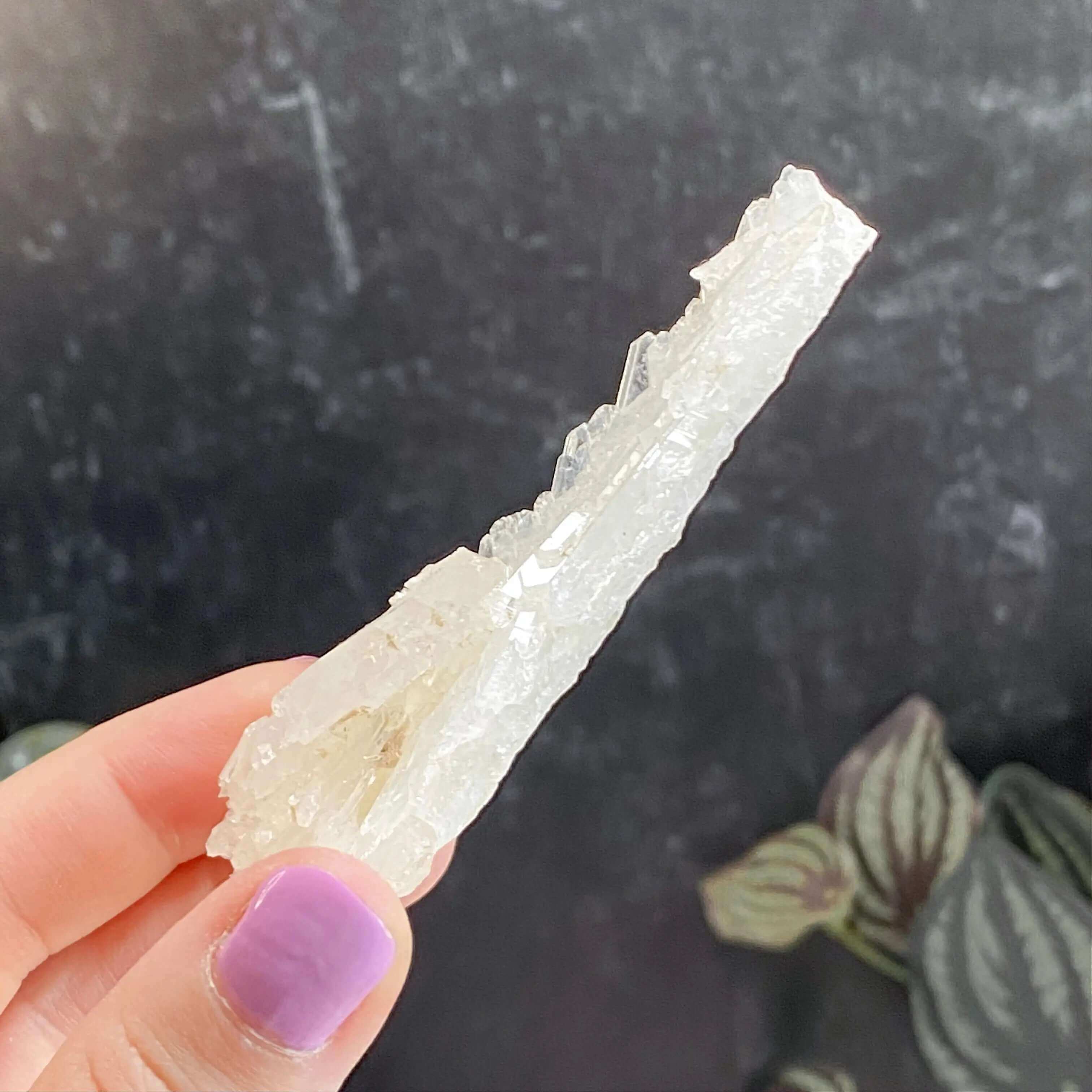 Faden Quartz | Stock A Mooncat Crystals