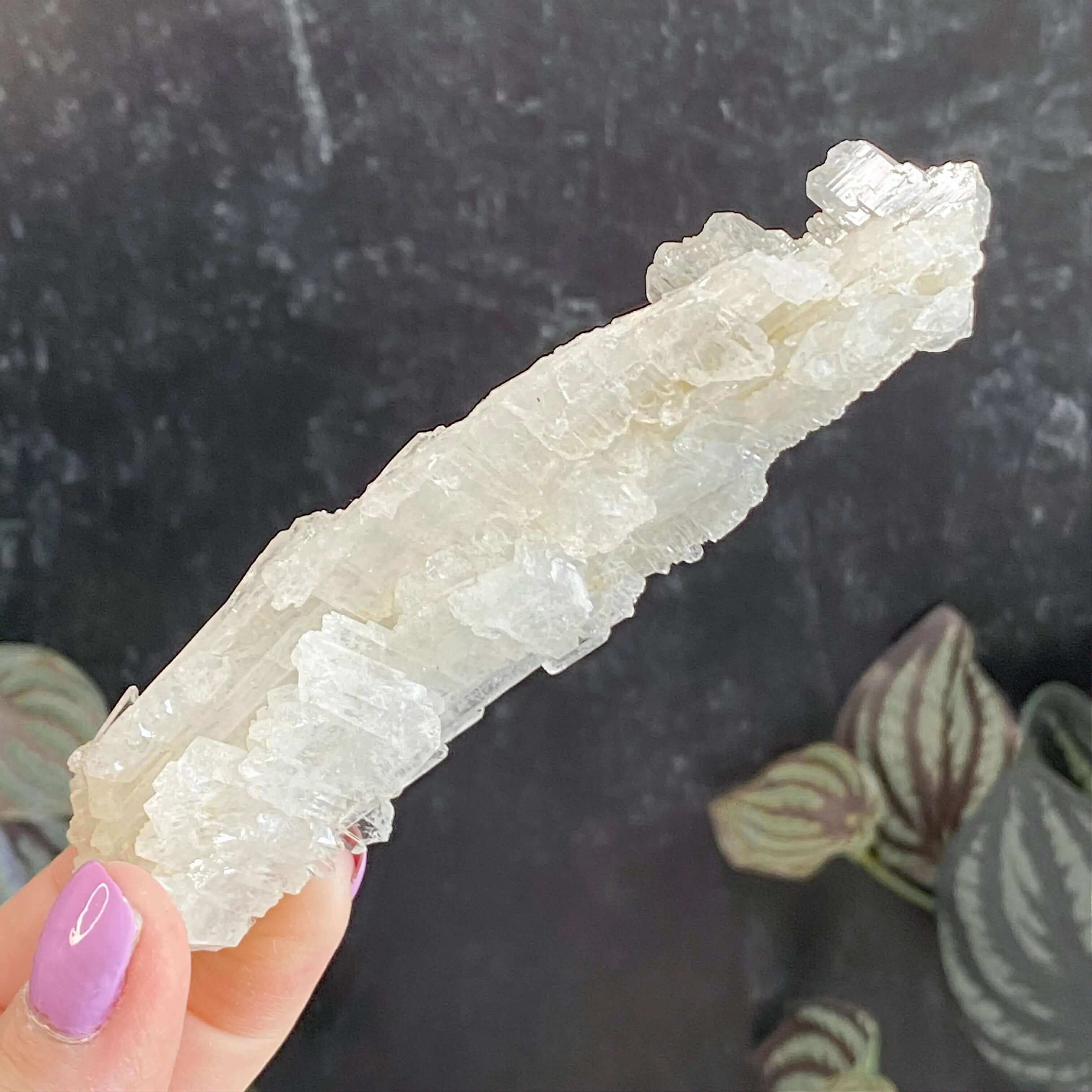 Faden Quartz | Stock B Mooncat Crystals