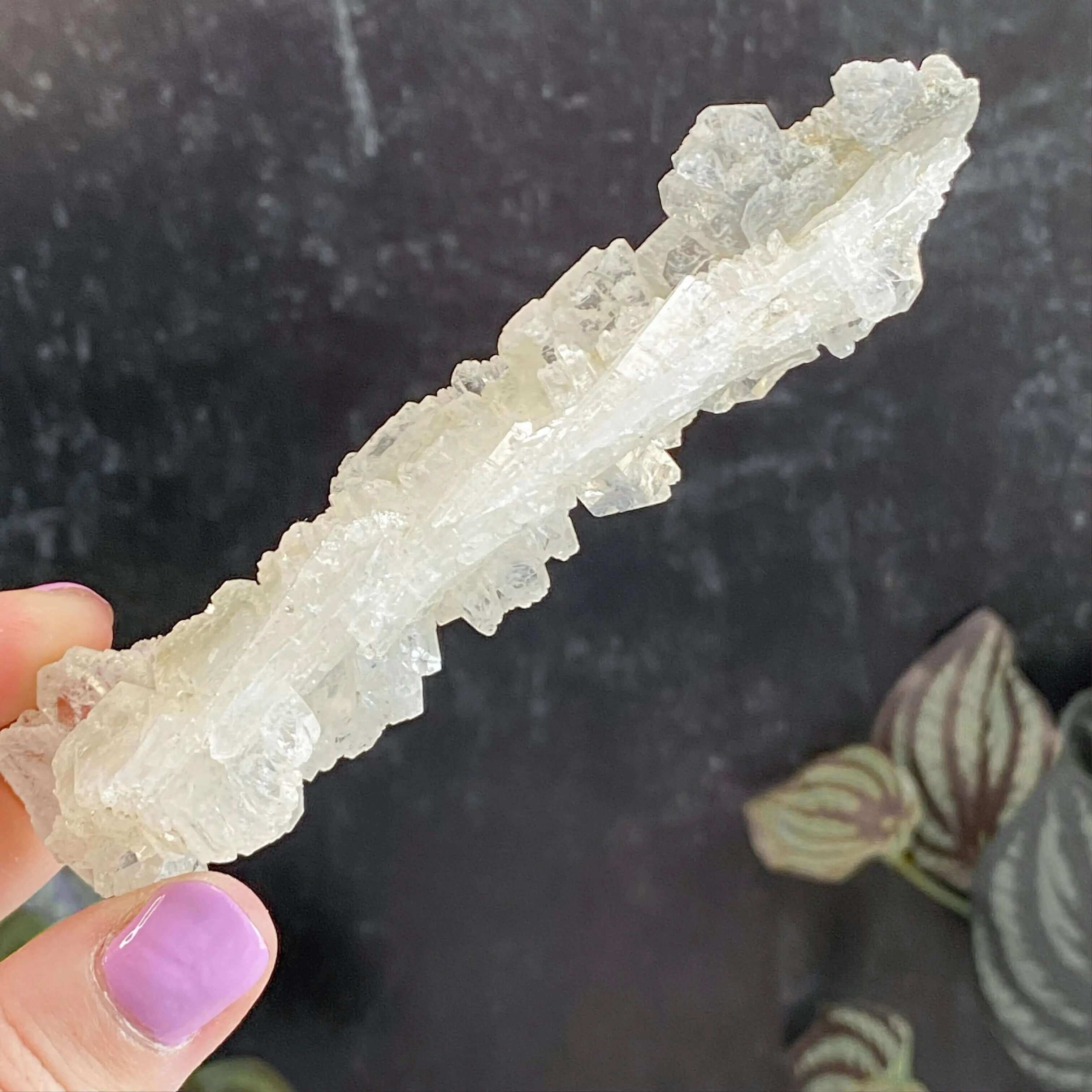 Faden Quartz | Stock B Mooncat Crystals