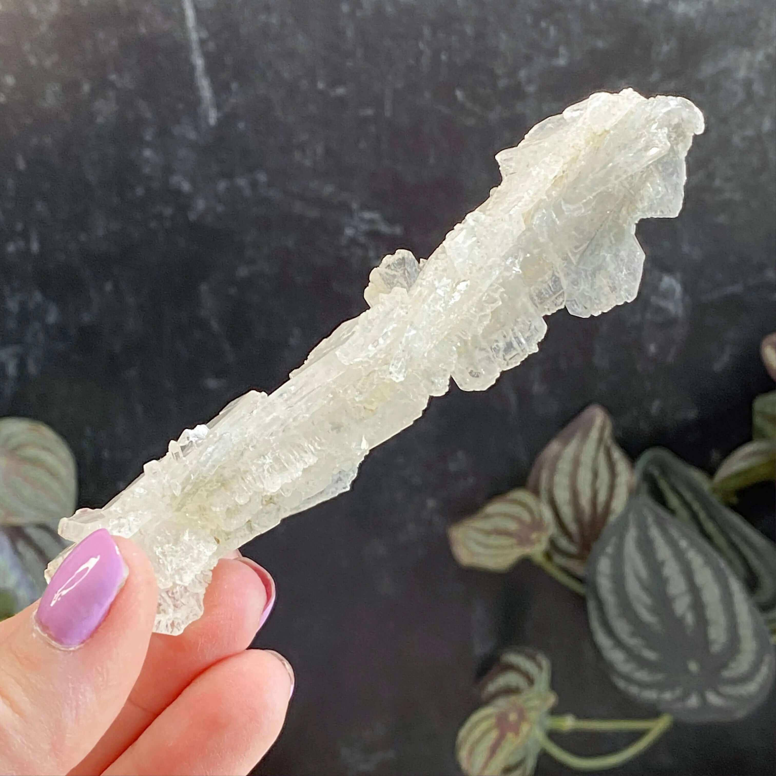 Faden Quartz | Stock B Mooncat Crystals