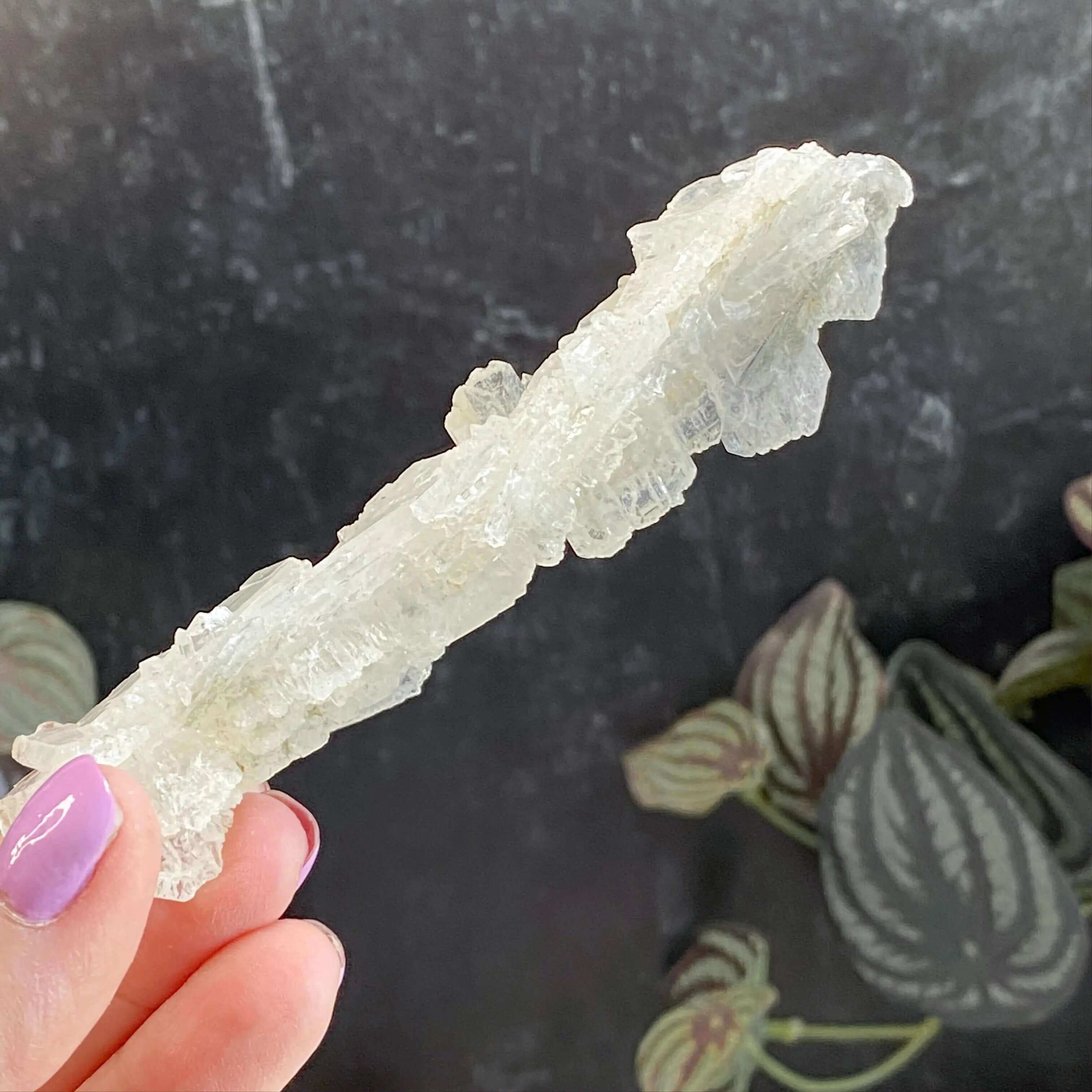 Faden Quartz | Stock B Mooncat Crystals