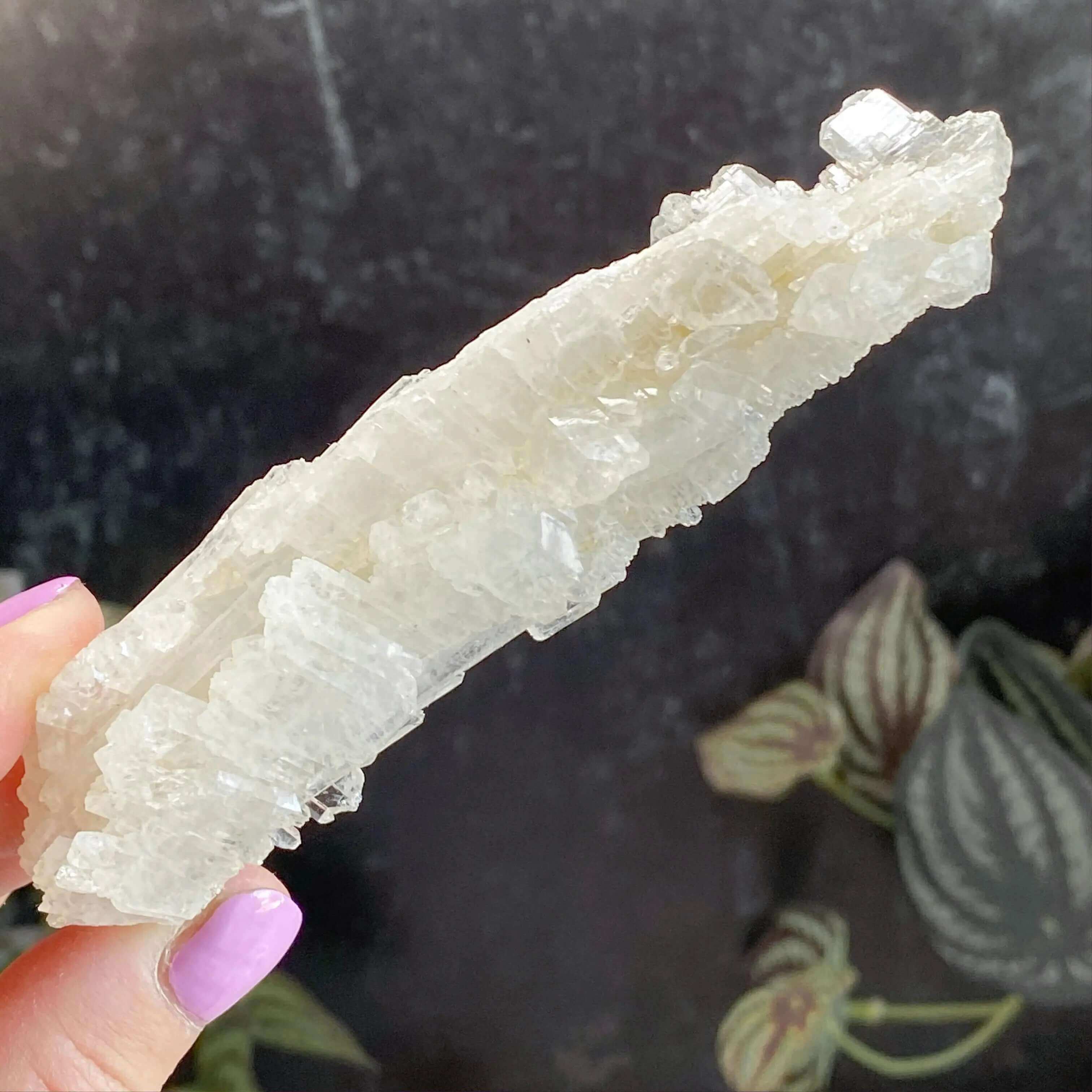 Faden Quartz | Stock B Mooncat Crystals
