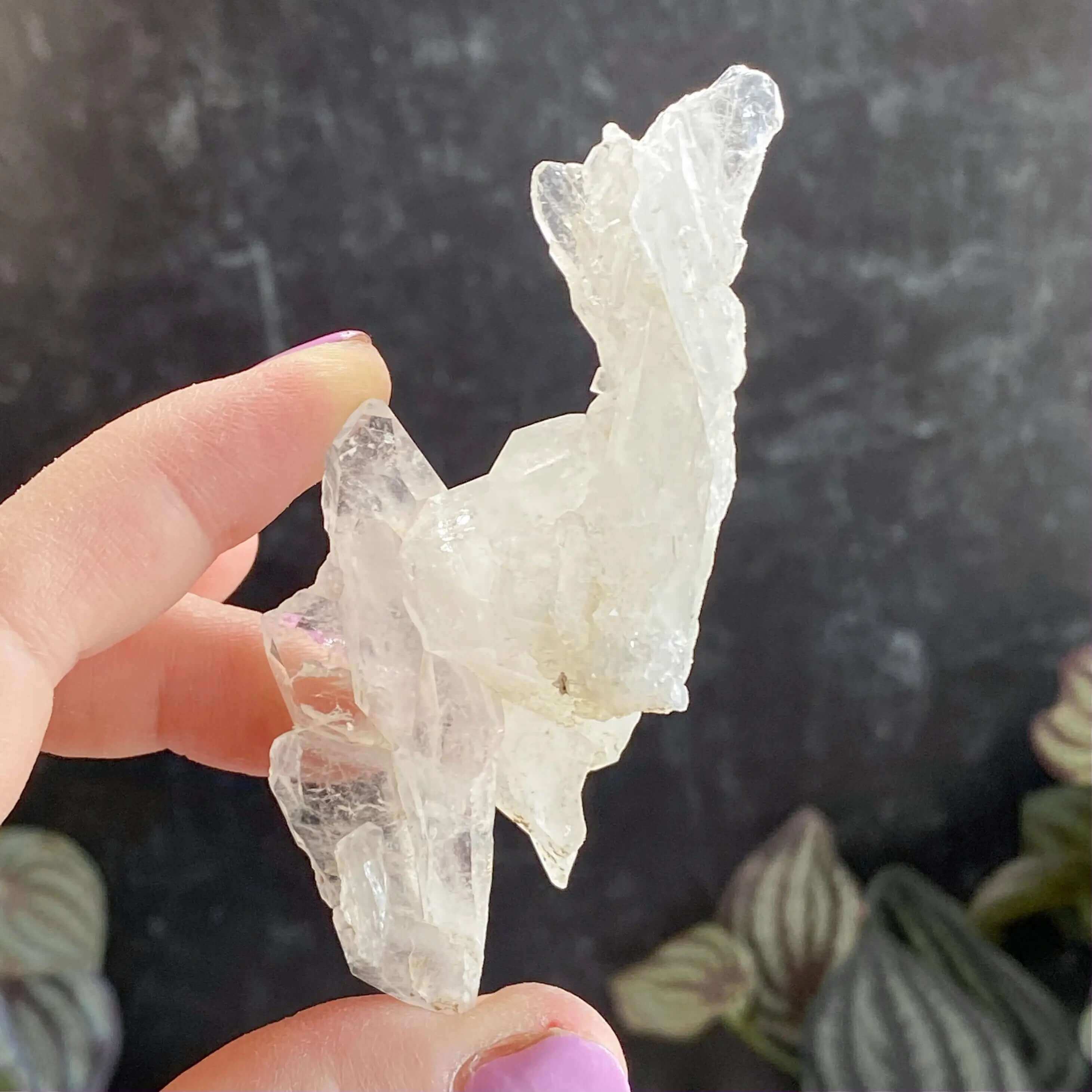 Faden Quartz | Stock C Mooncat Crystals