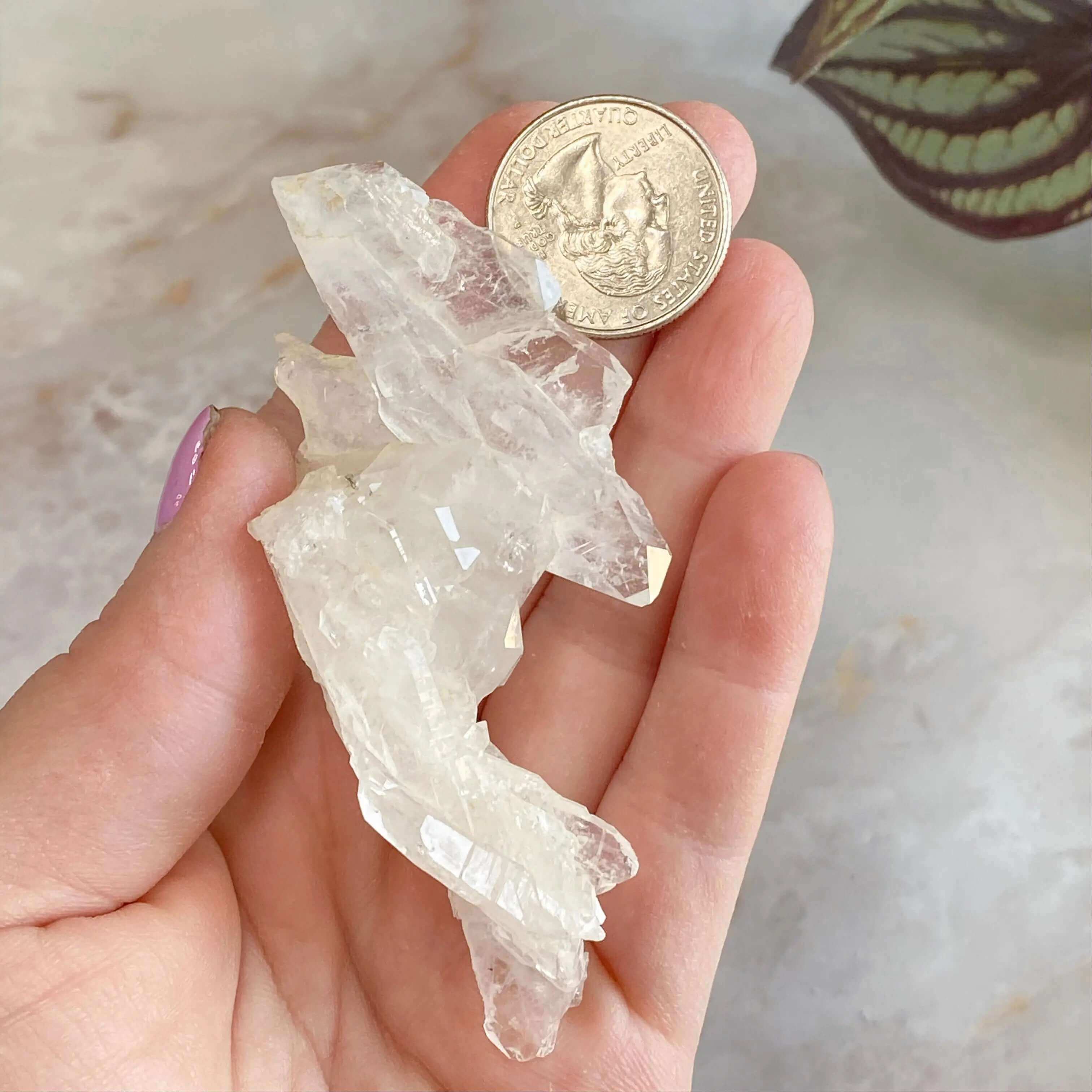 Faden Quartz | Stock C Mooncat Crystals