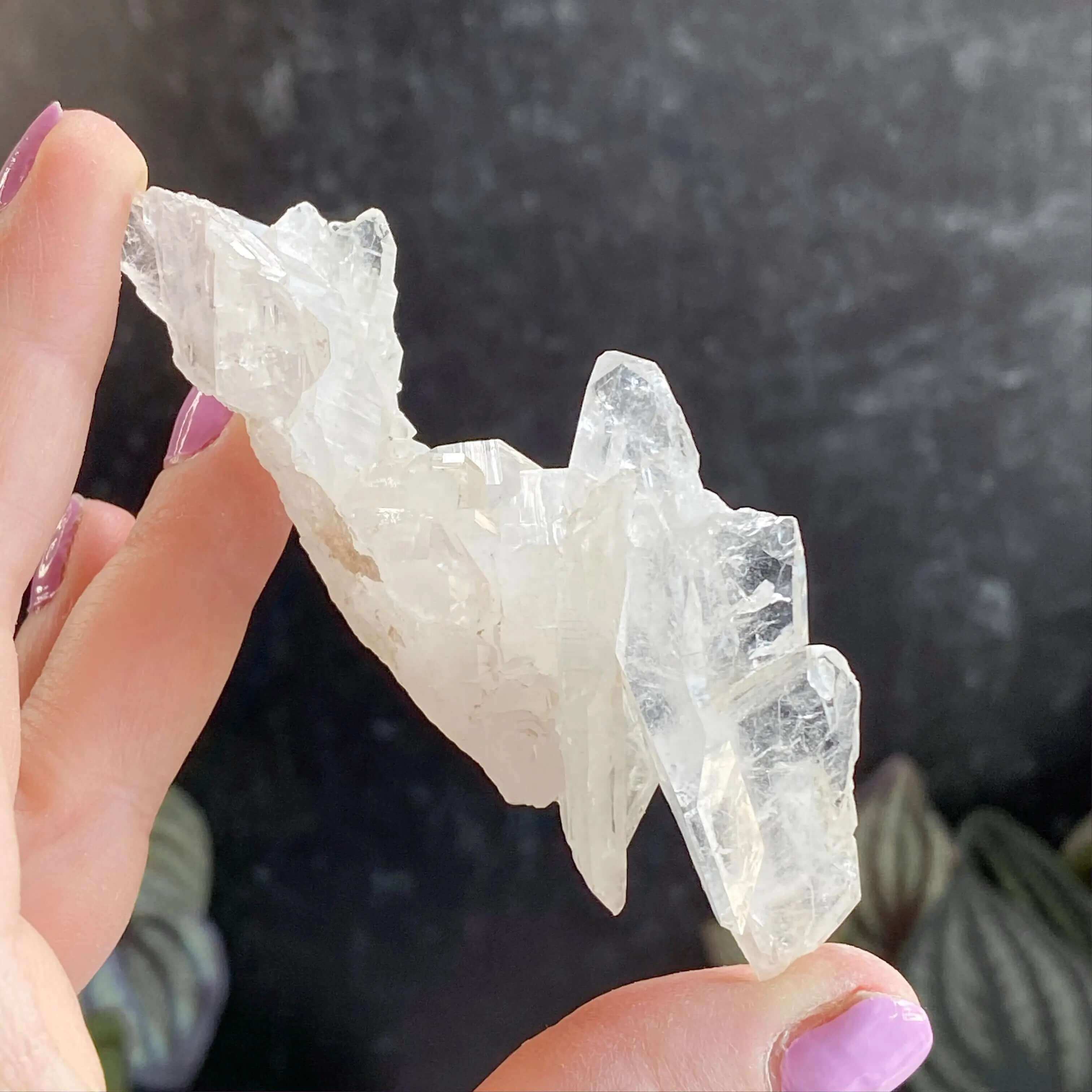 Faden Quartz | Stock C Mooncat Crystals