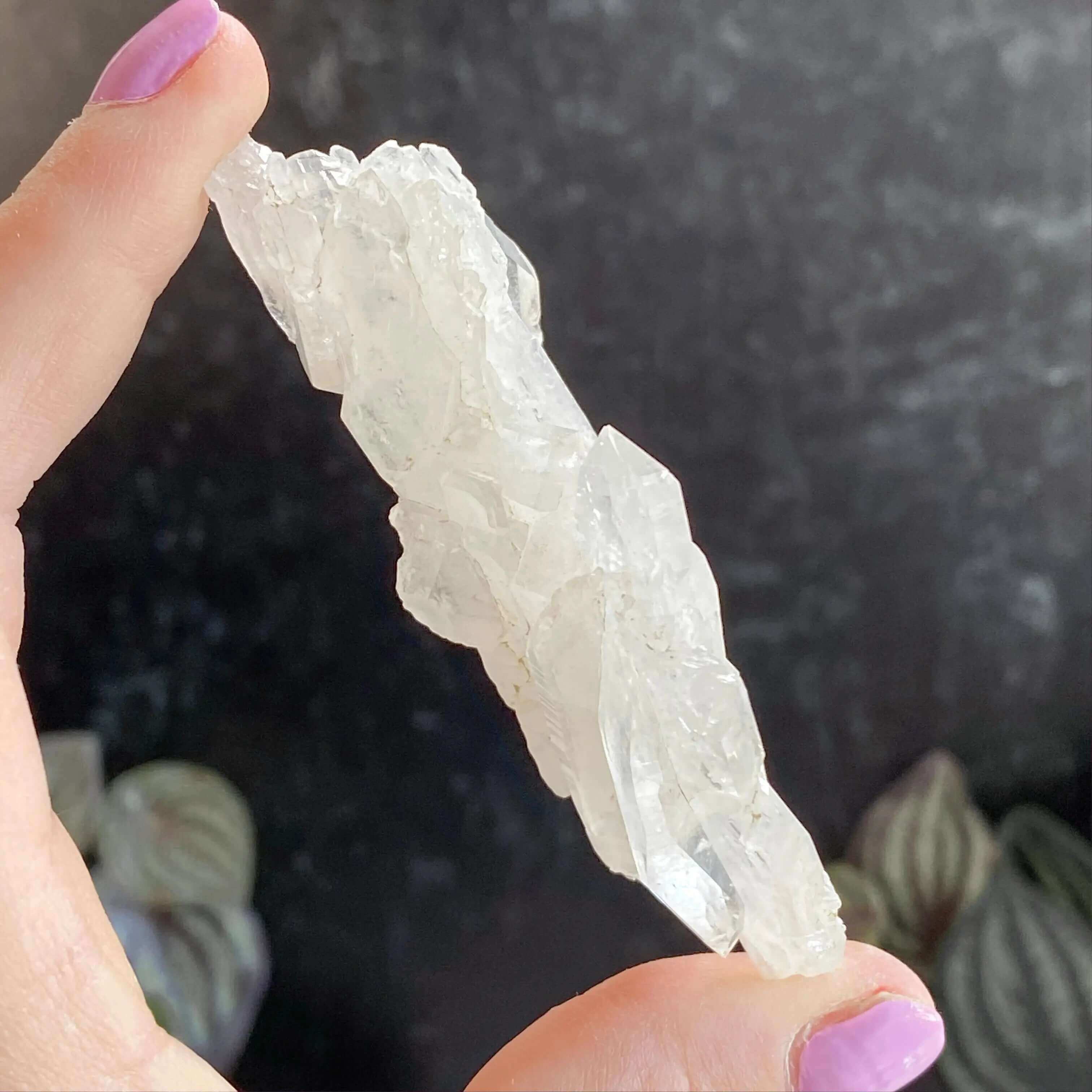 Faden Quartz | Stock C Mooncat Crystals
