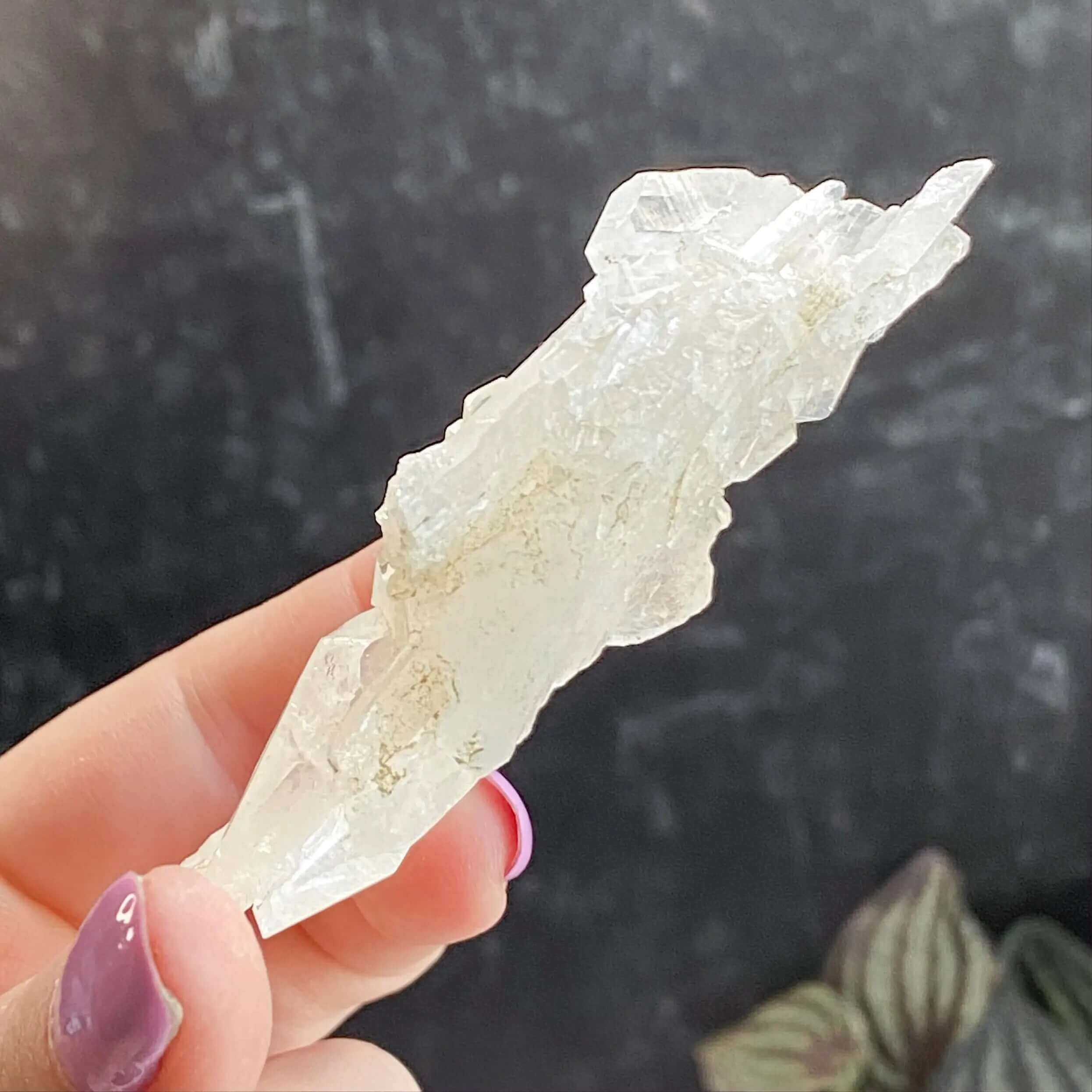 Faden Quartz | Stock C Mooncat Crystals
