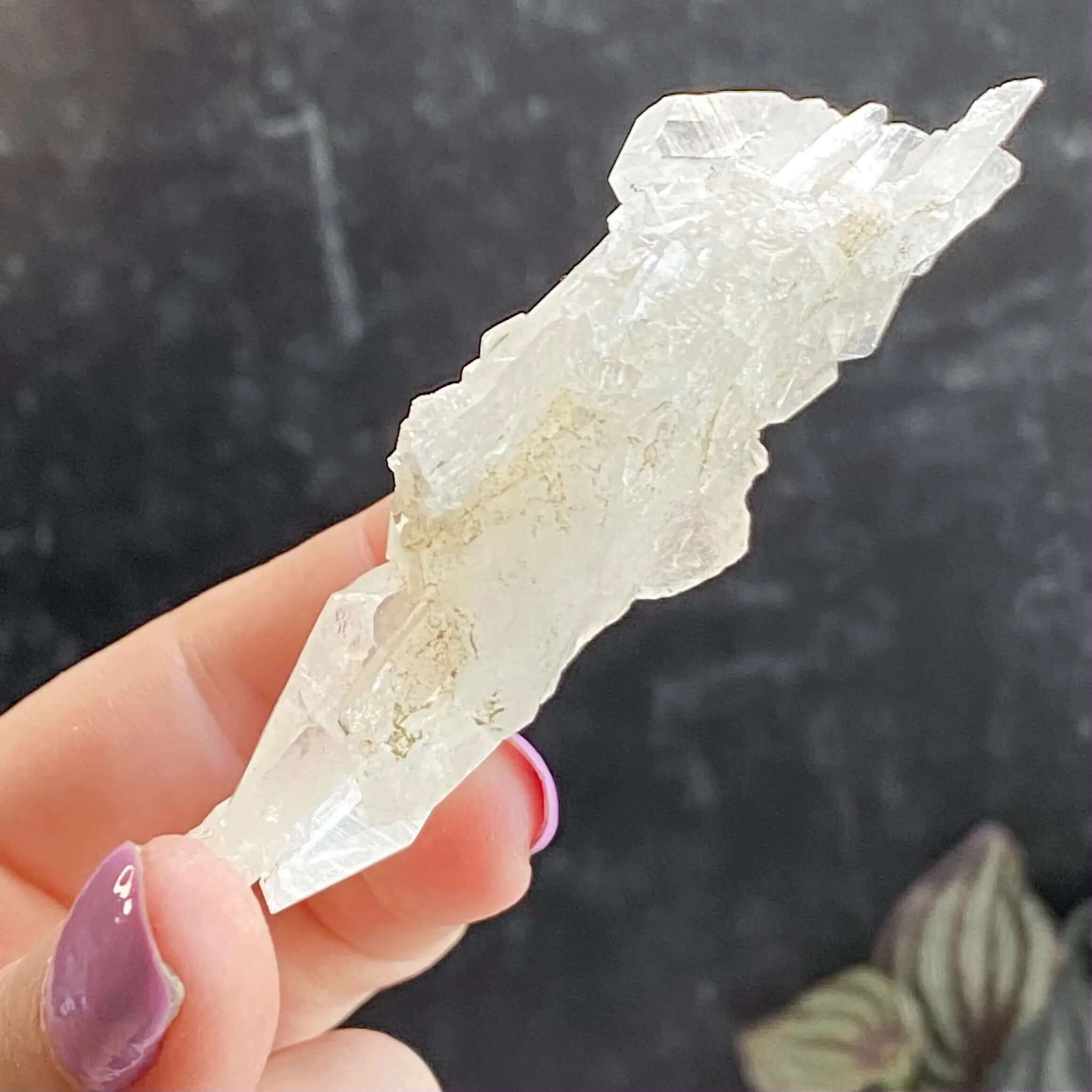 Faden Quartz | Stock C Mooncat Crystals