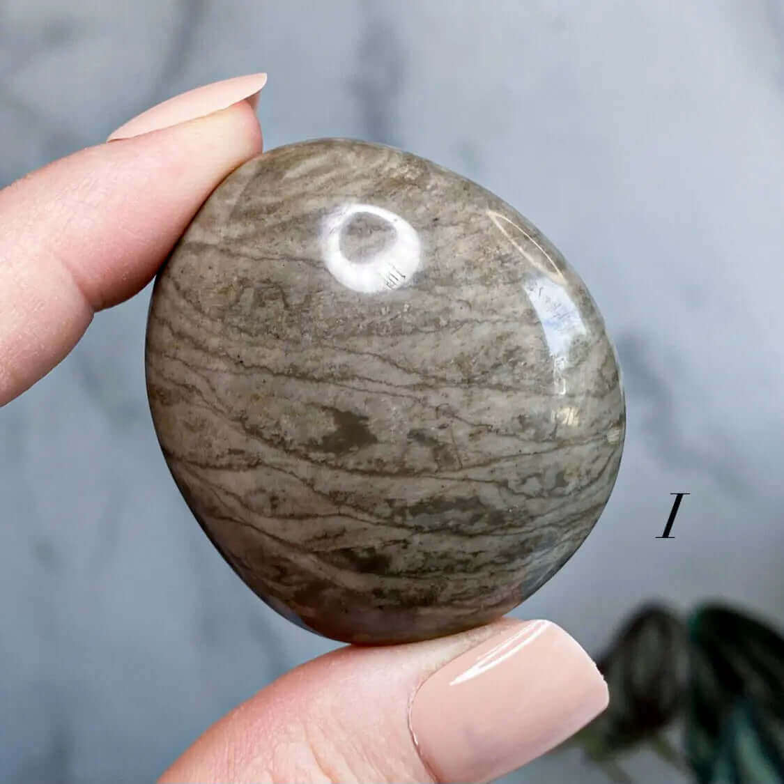 Fossil Jasper Palm Stone | You Choose IJKL Mooncat Crystals