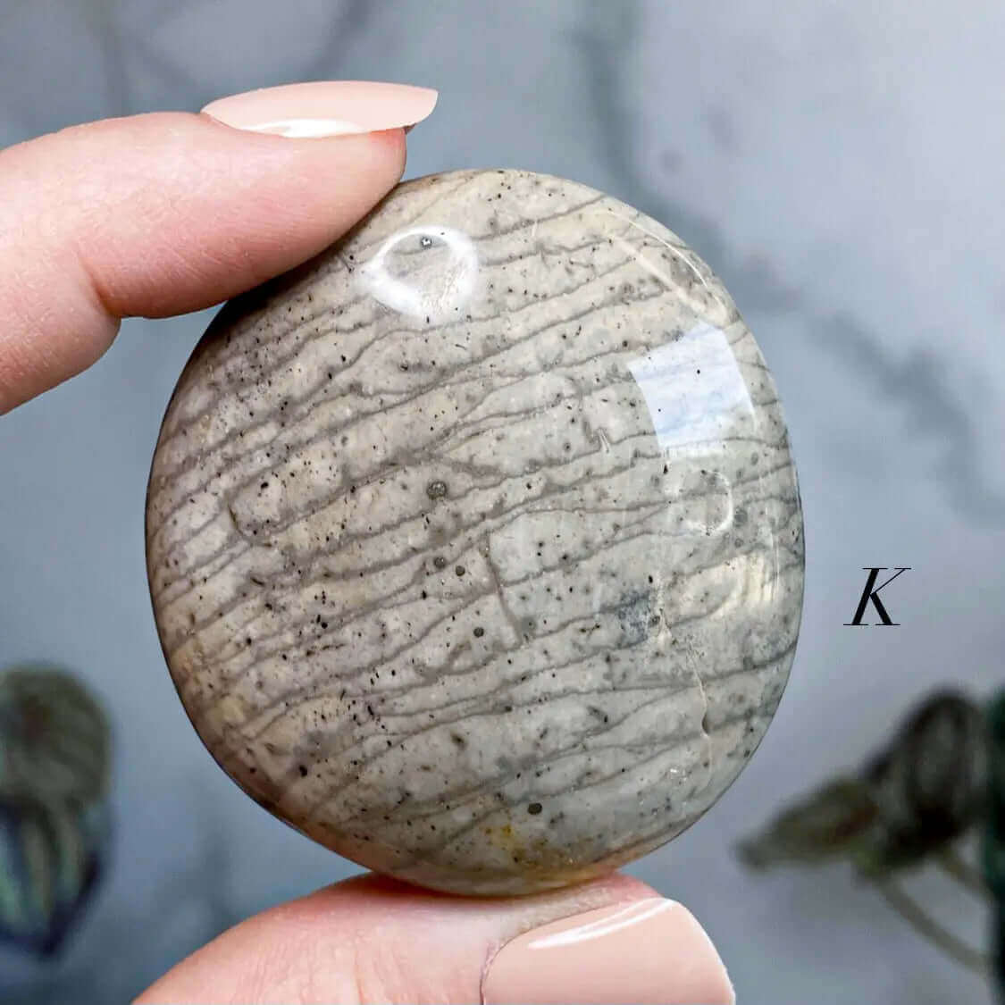 Fossil Jasper Palm Stone | You Choose IJKL Mooncat Crystals