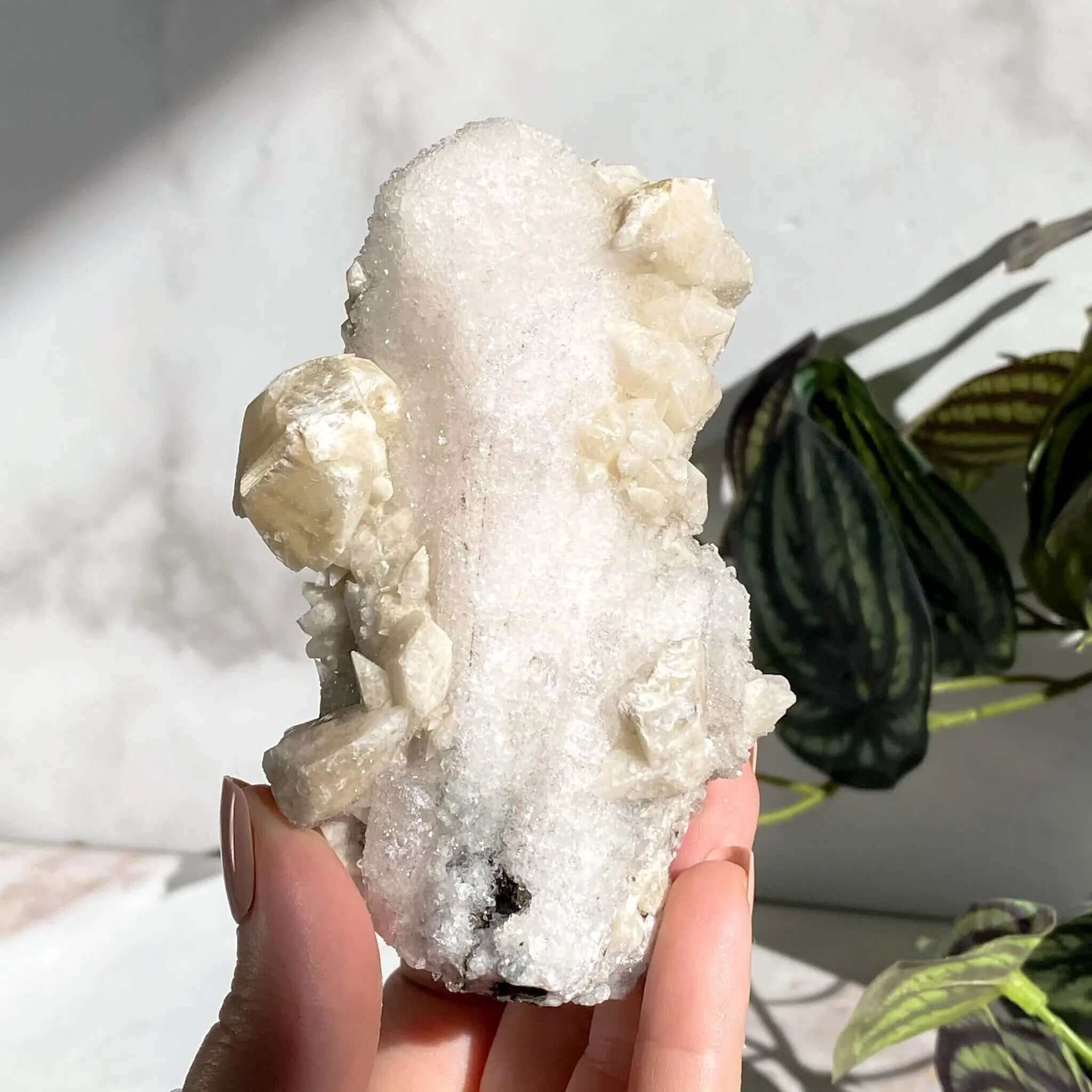 Glittering Druzy Pink Danburite with Calcite | Stock GG Mooncat Crystals
