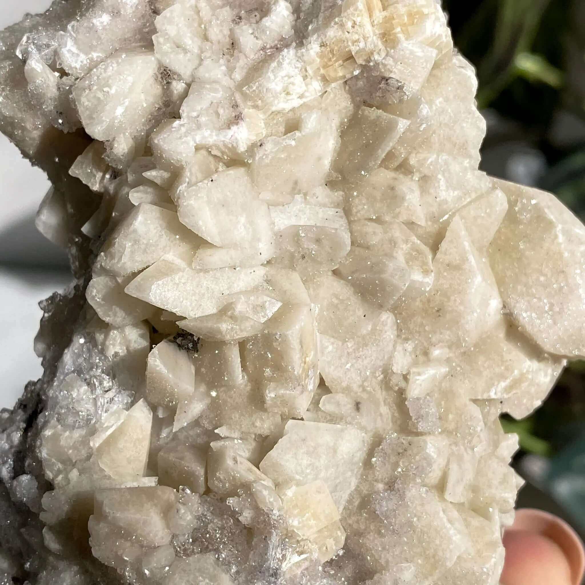 Glittering Druzy Pink Danburite with Calcite | Stock GG Mooncat Crystals