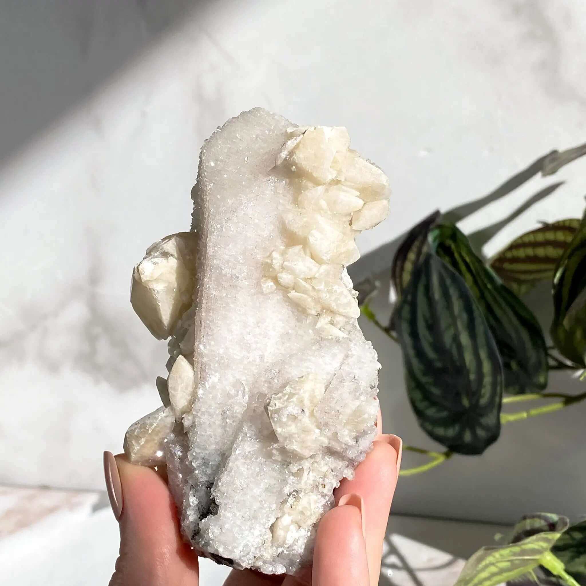 Glittering Druzy Pink Danburite with Calcite | Stock GG Mooncat Crystals