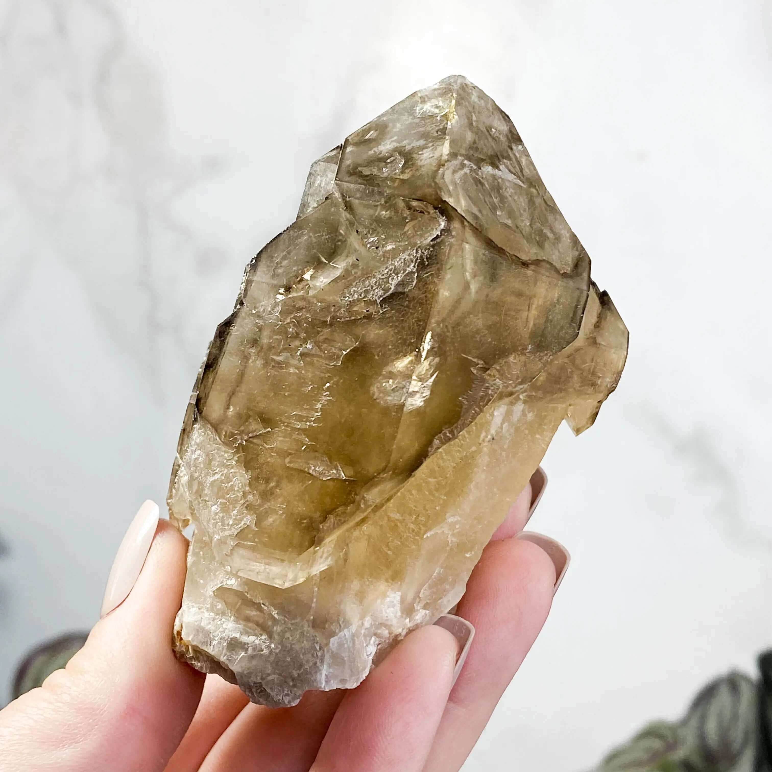 Golden Elestial Smokey Quartz | Stock A Mooncat Crystals