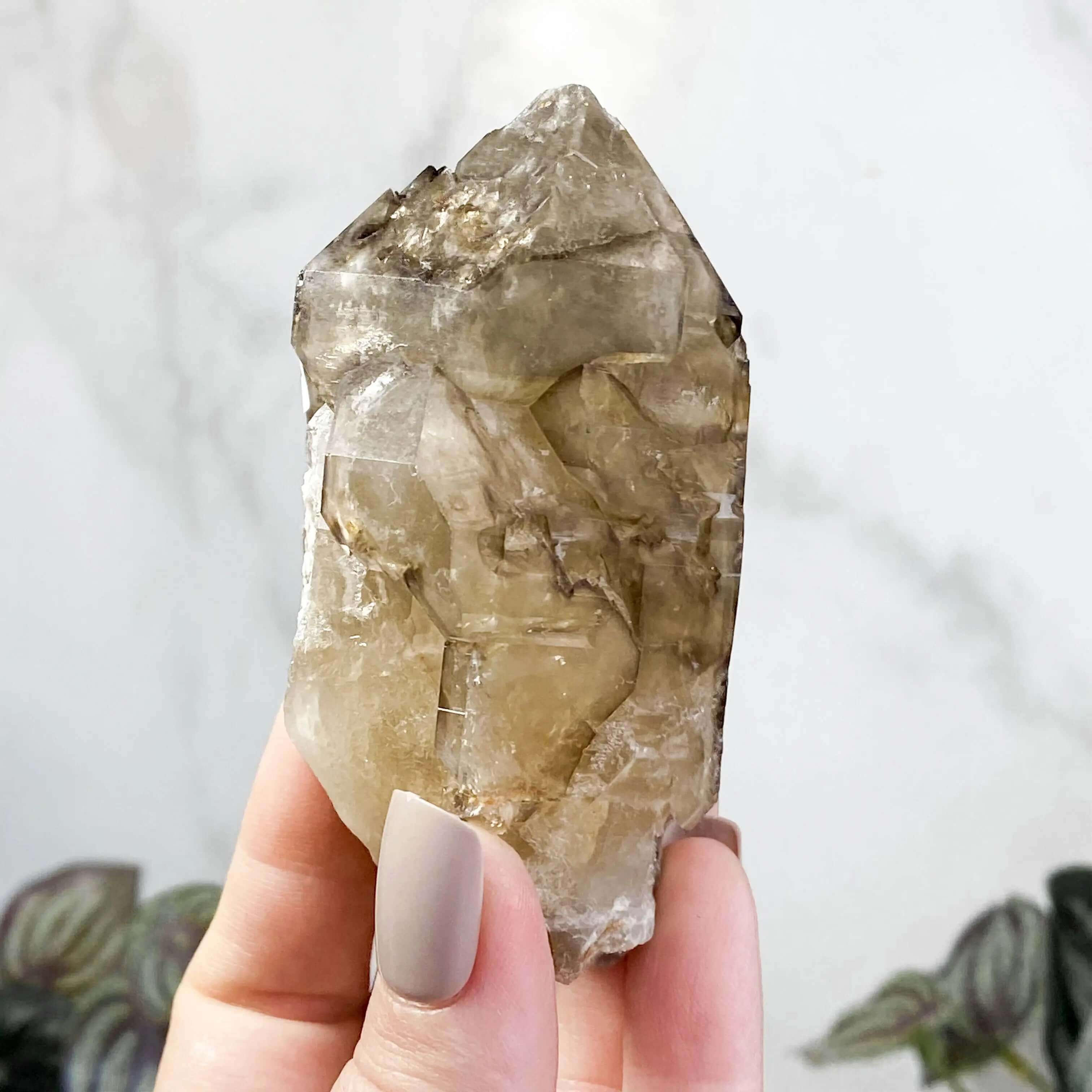 Golden Elestial Smokey Quartz | Stock A Mooncat Crystals