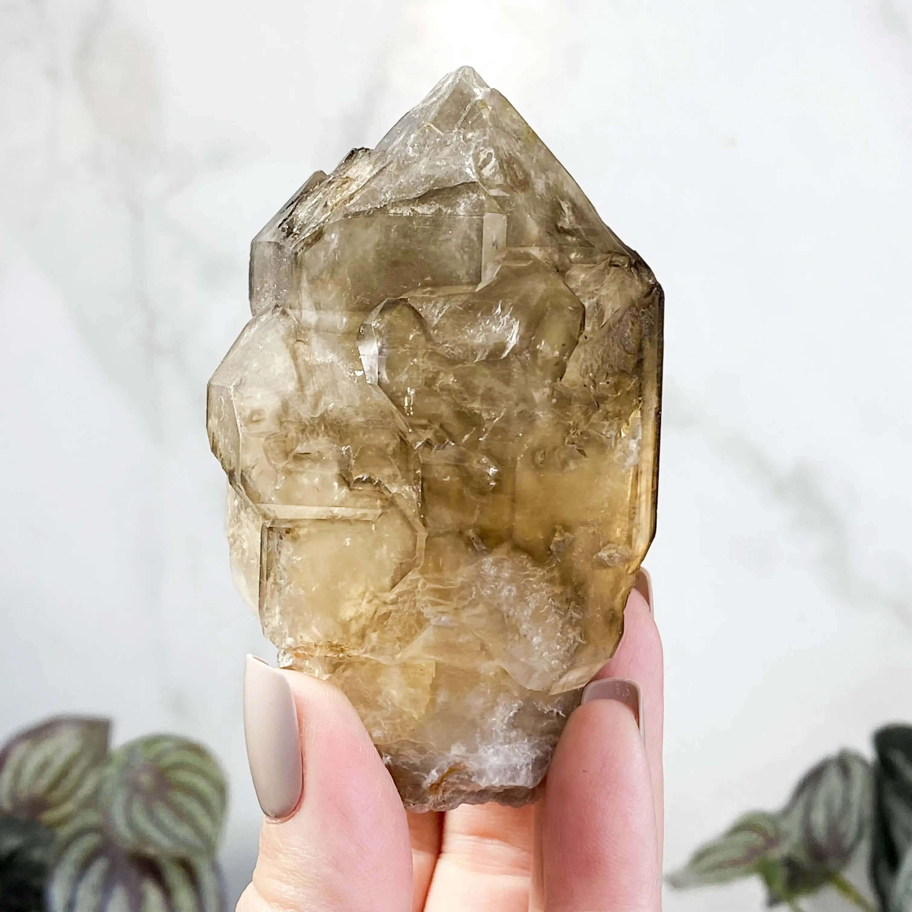 Golden Elestial Smokey Quartz | Stock A Mooncat Crystals