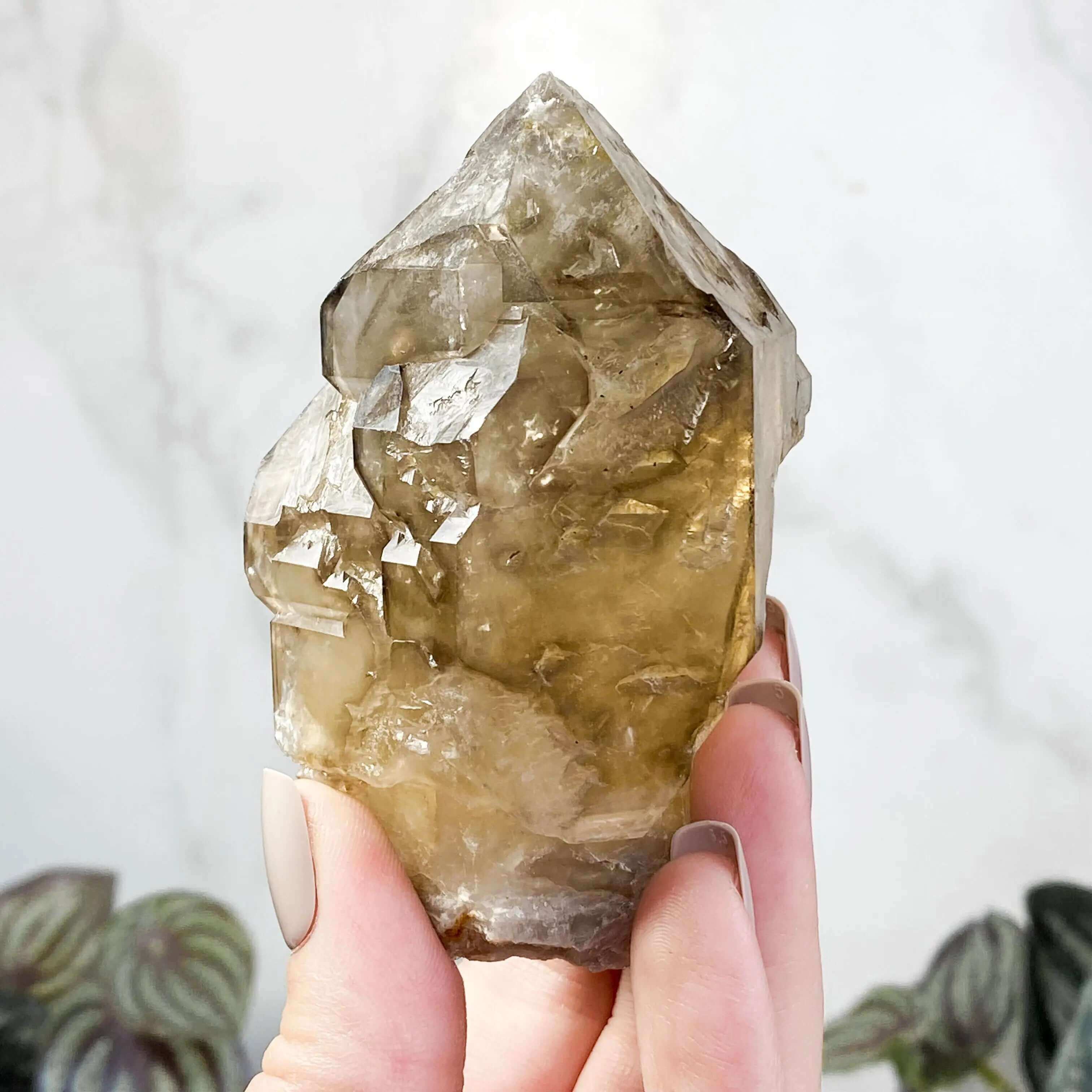 Golden Elestial Smokey Quartz | Stock A Mooncat Crystals