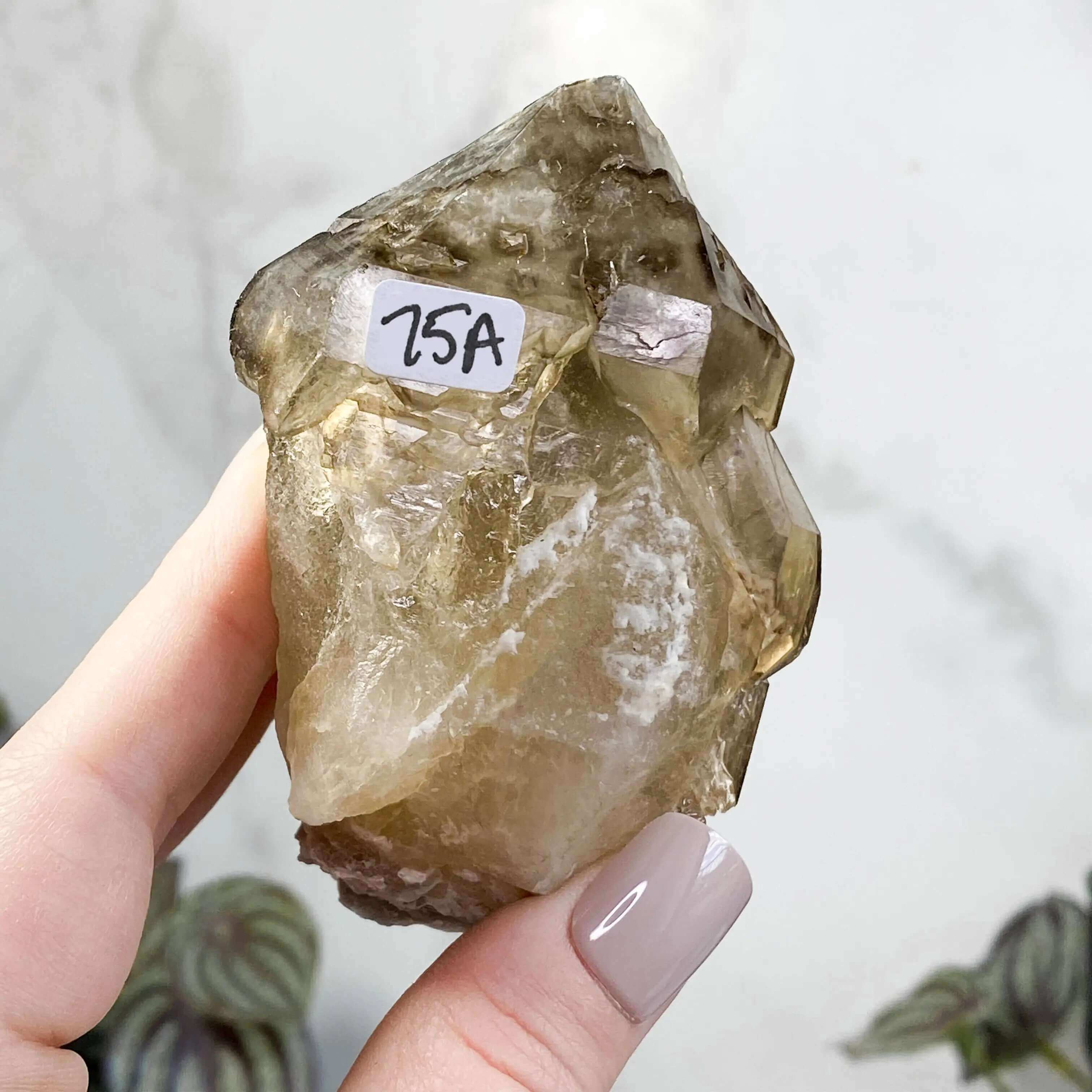 Golden Elestial Smokey Quartz | Stock A Mooncat Crystals