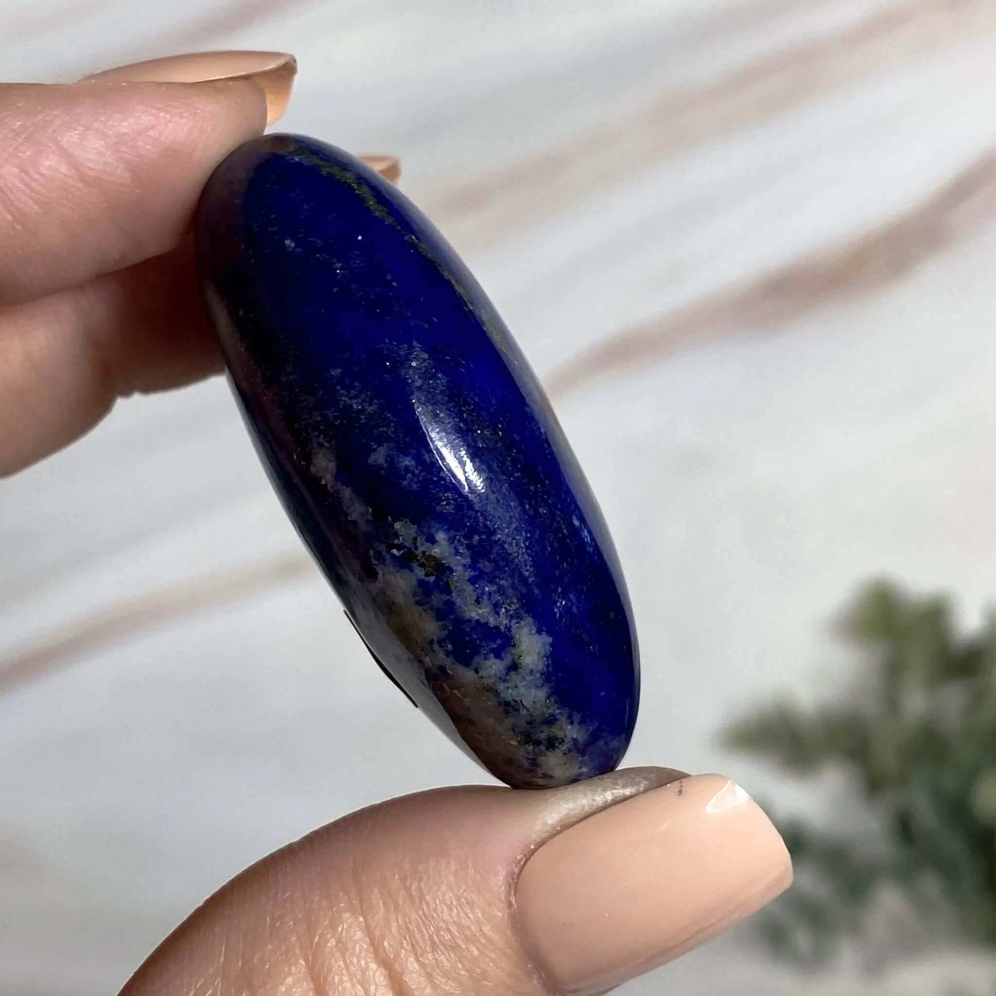 Lapis Lazuli Palm Stone | Stock H Mooncat Crystals