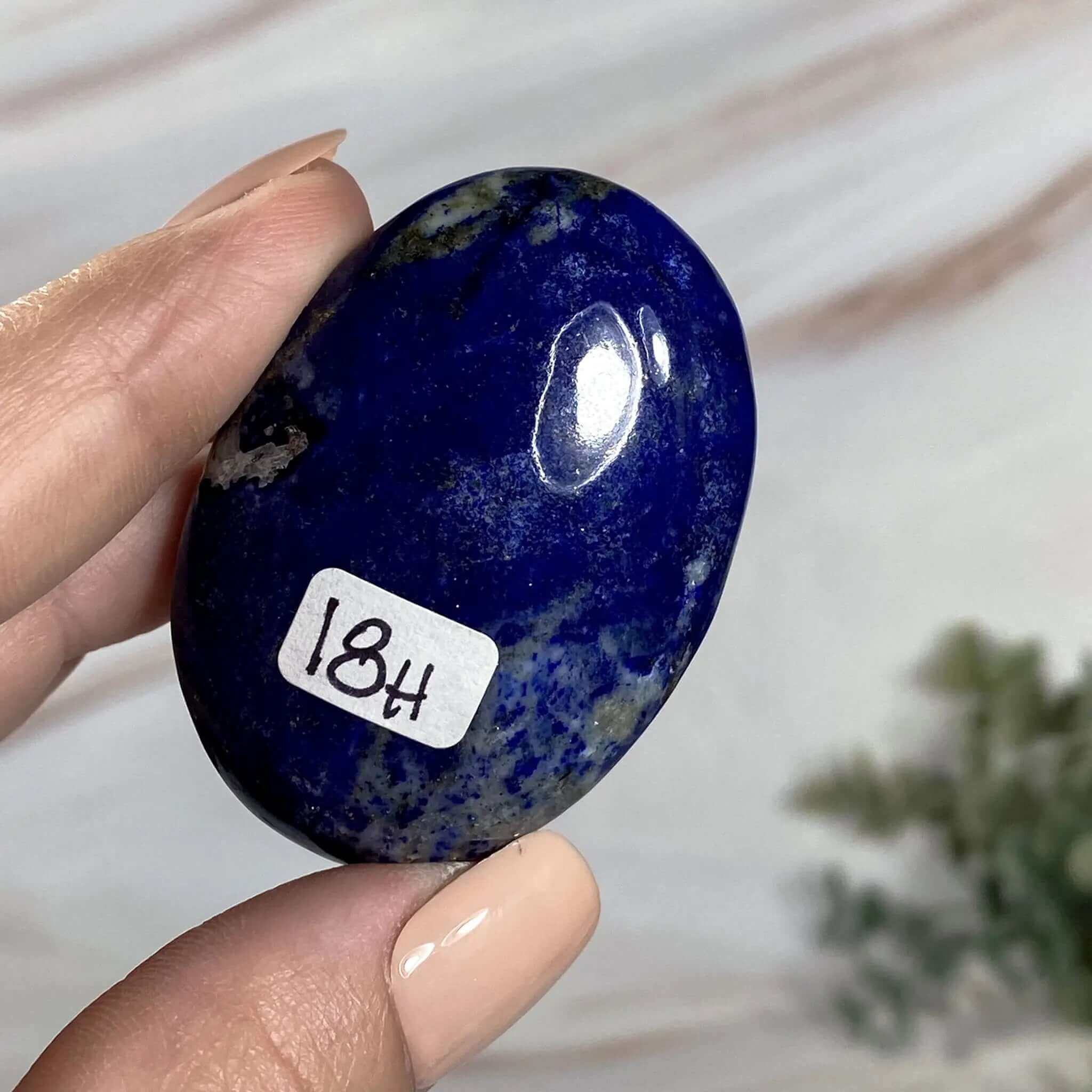 Lapis Lazuli Palm Stone | Stock H Mooncat Crystals