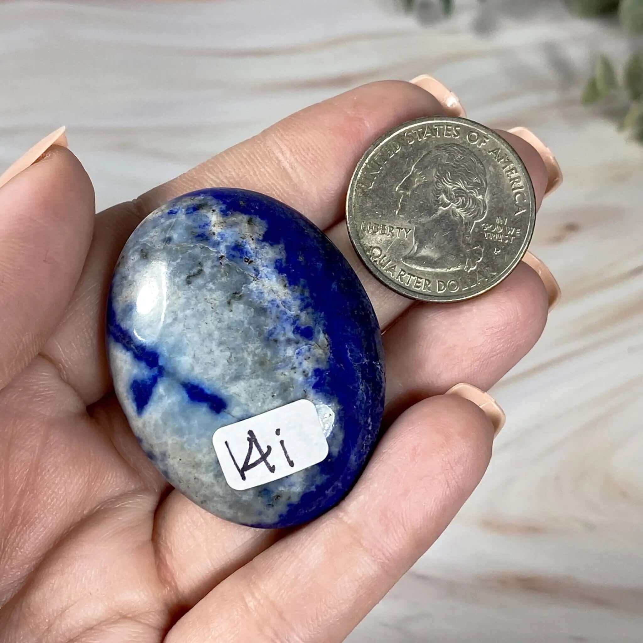 Lapis Lazuli Palm Stone | Stock I Mooncat Crystals