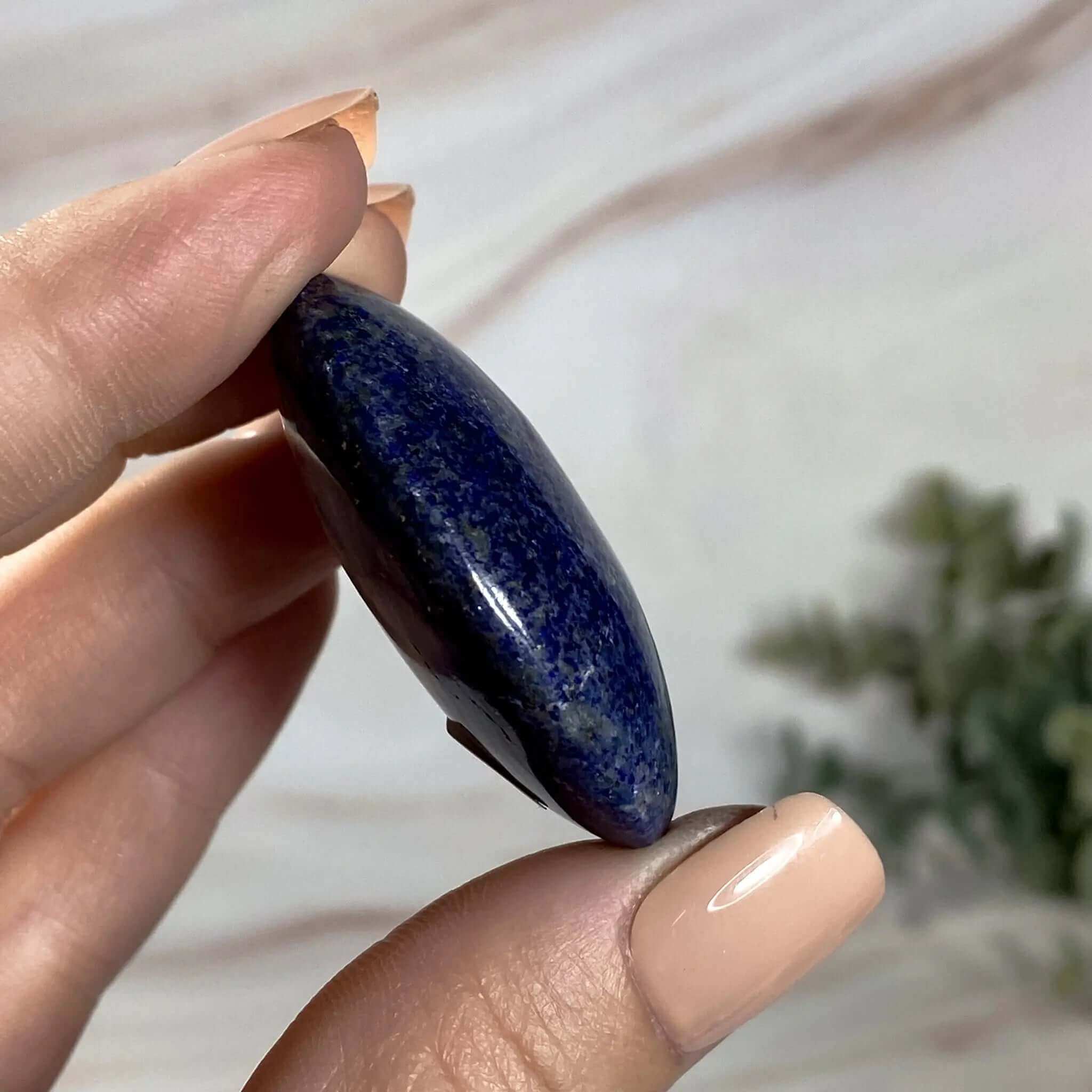 Lapis Lazuli Palm Stone | Stock I Mooncat Crystals