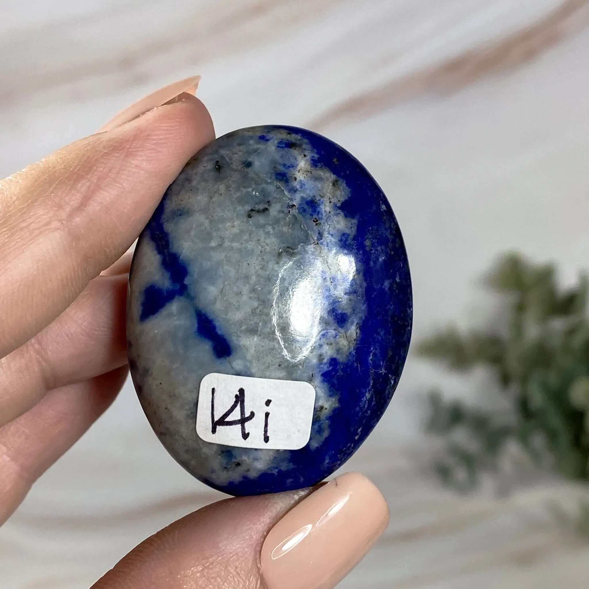 Lapis Lazuli Palm Stone | Stock I Mooncat Crystals