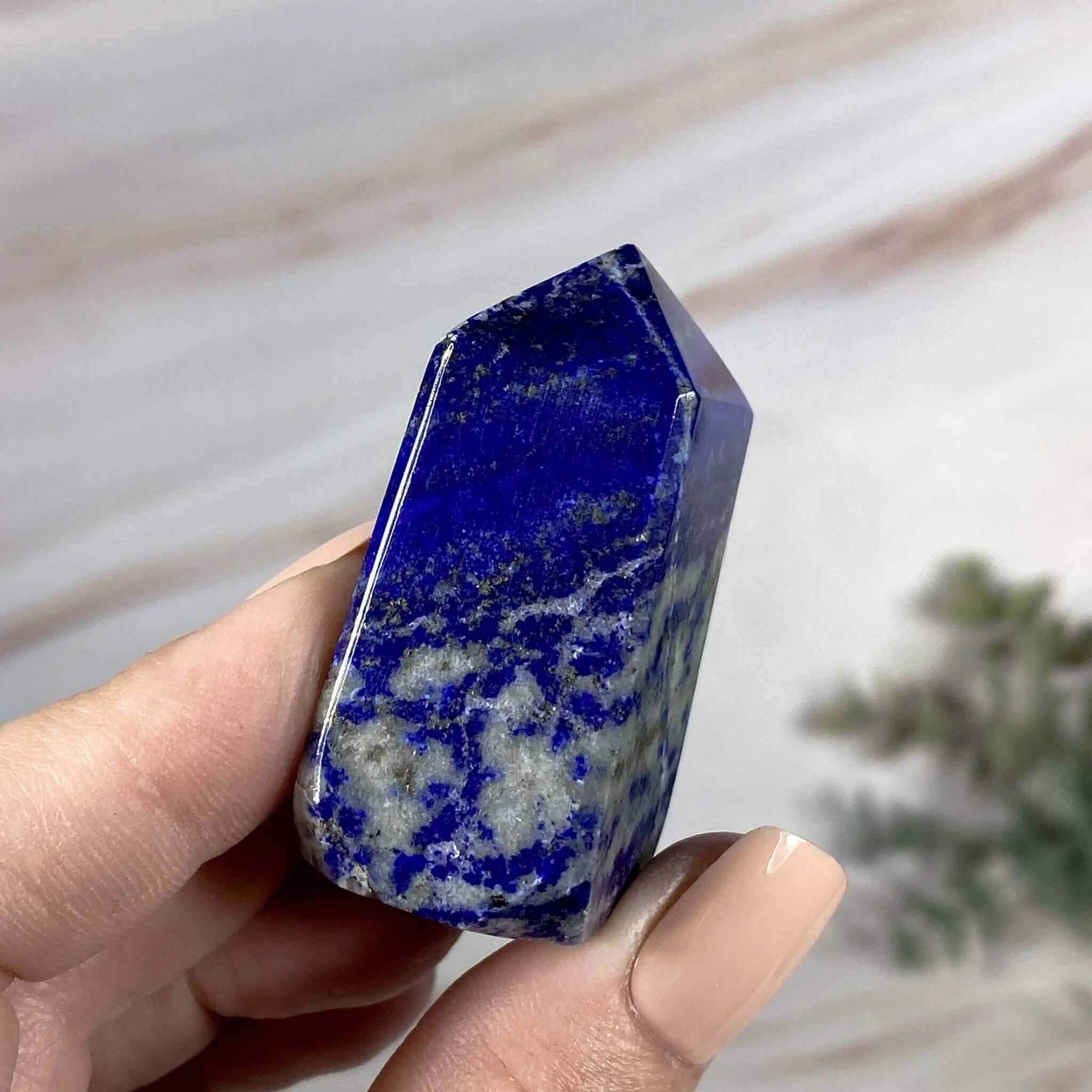 Lapis Tower | Stock B Mooncat Crystals