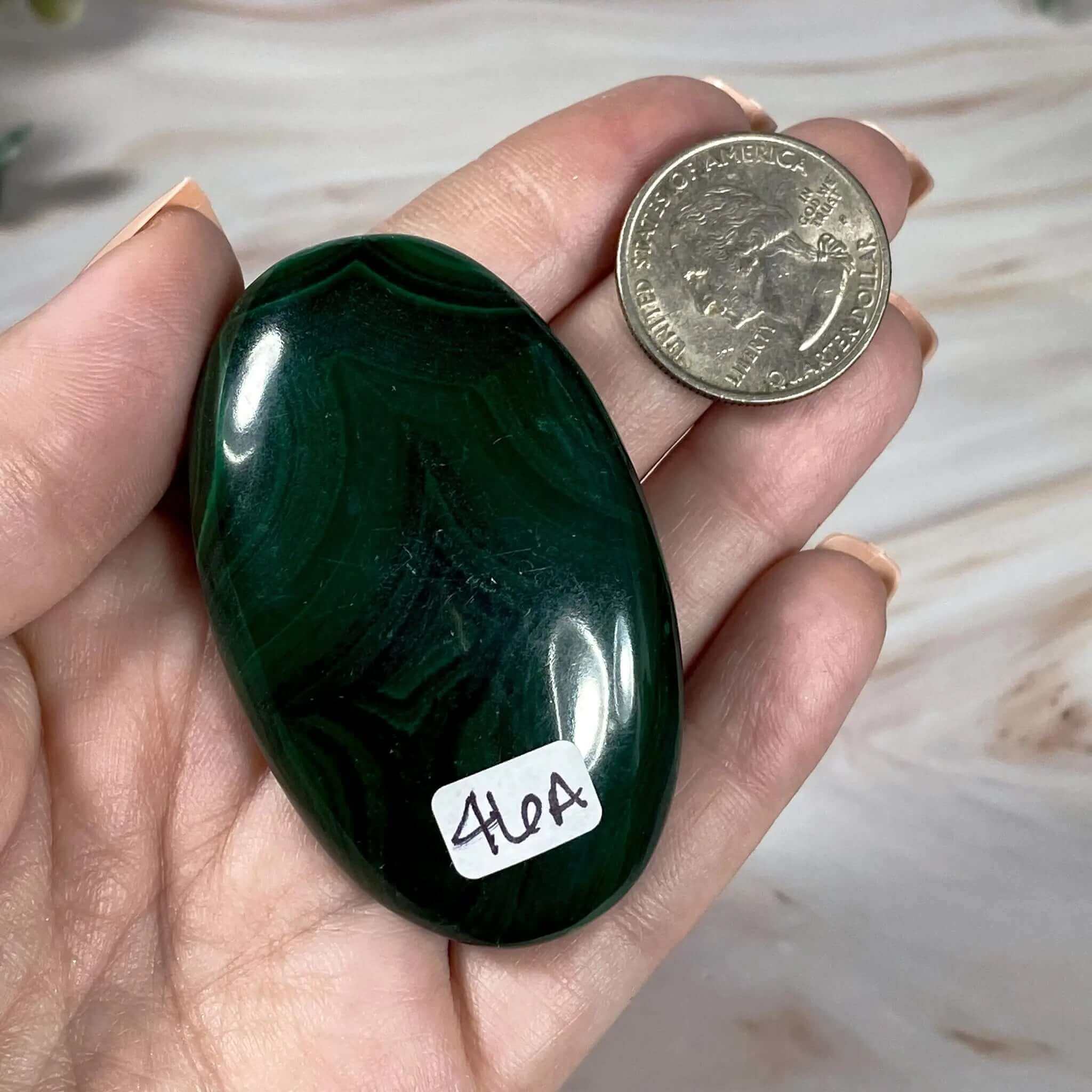 Malachite Palm Stone | Stock A Mooncat Crystals