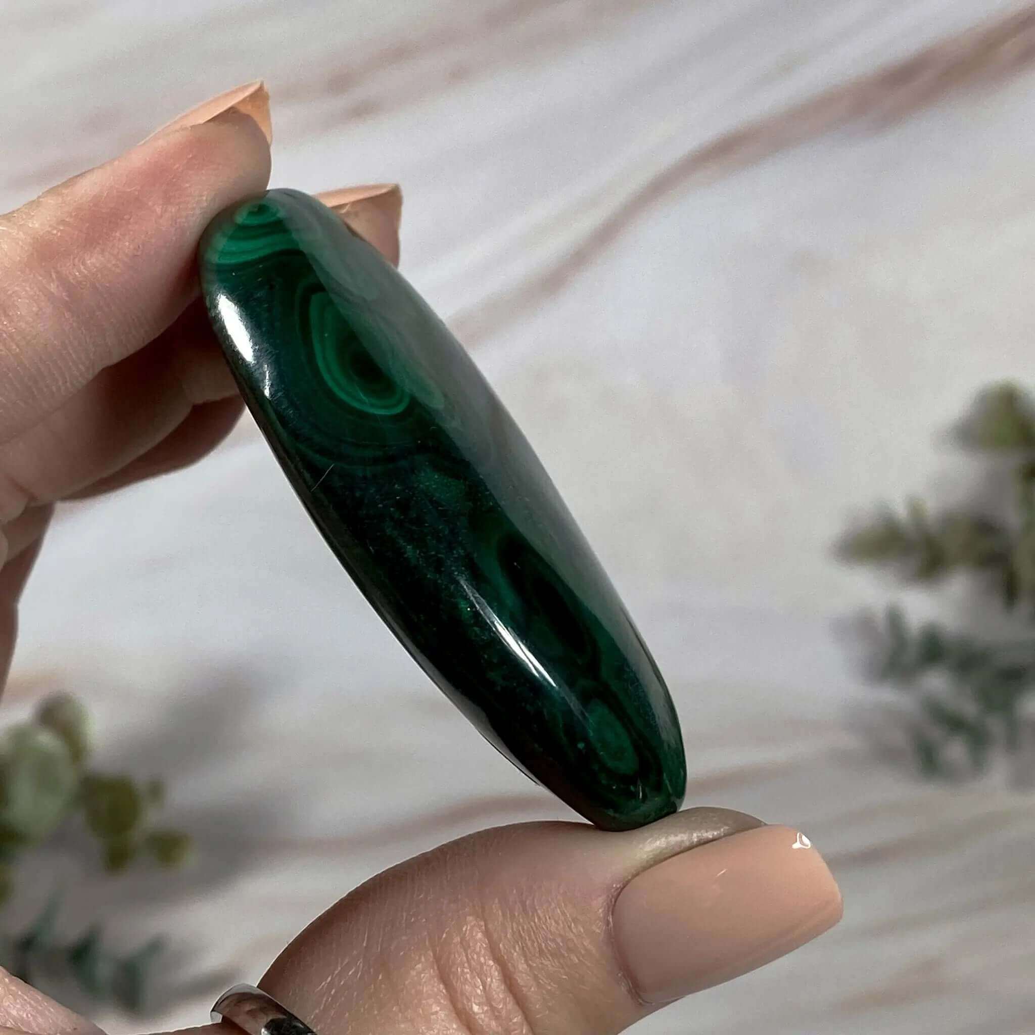 Malachite Palm Stone | Stock A Mooncat Crystals