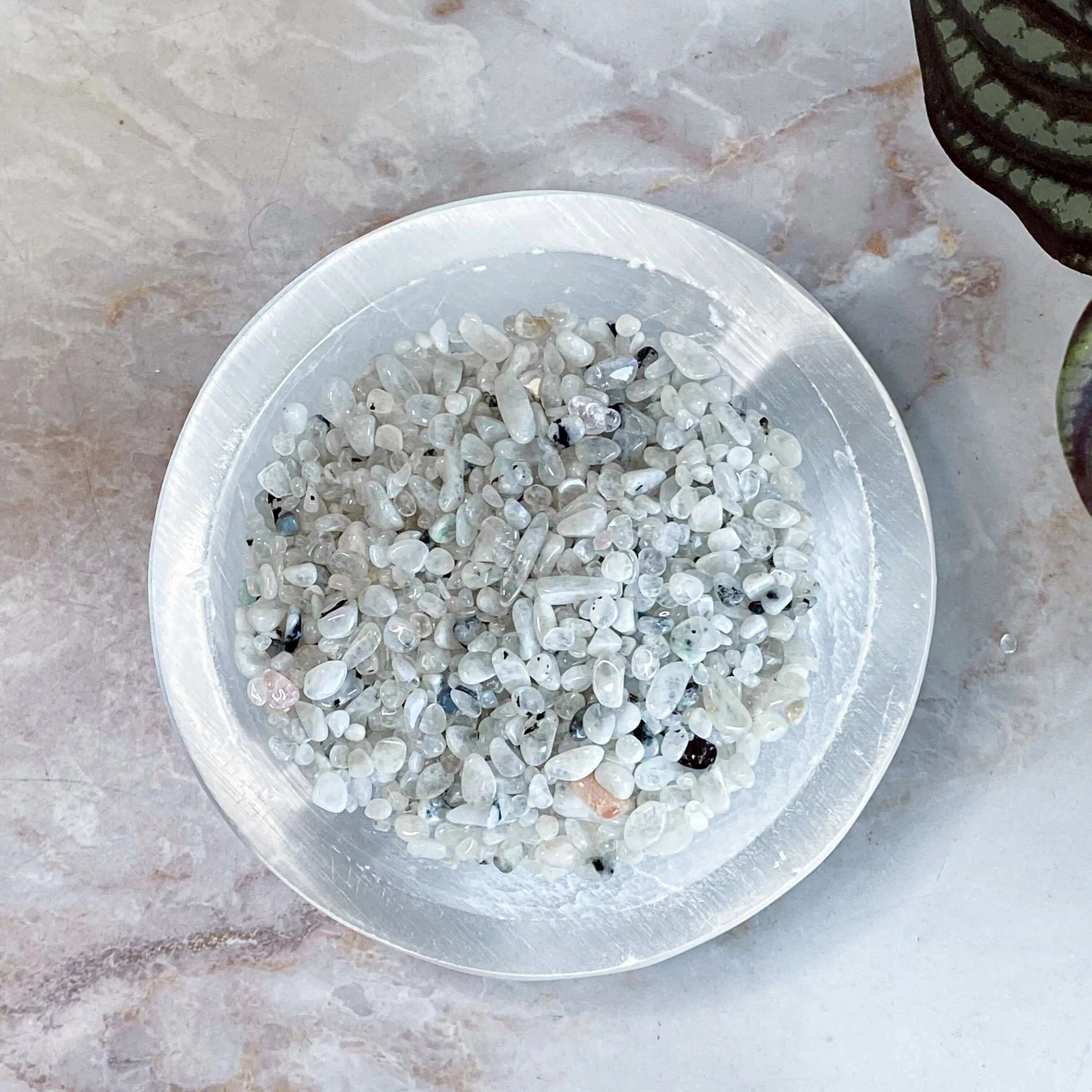 Mini Rainbow Moonstone Tumbles | 100g Lot Mooncat Crystals
