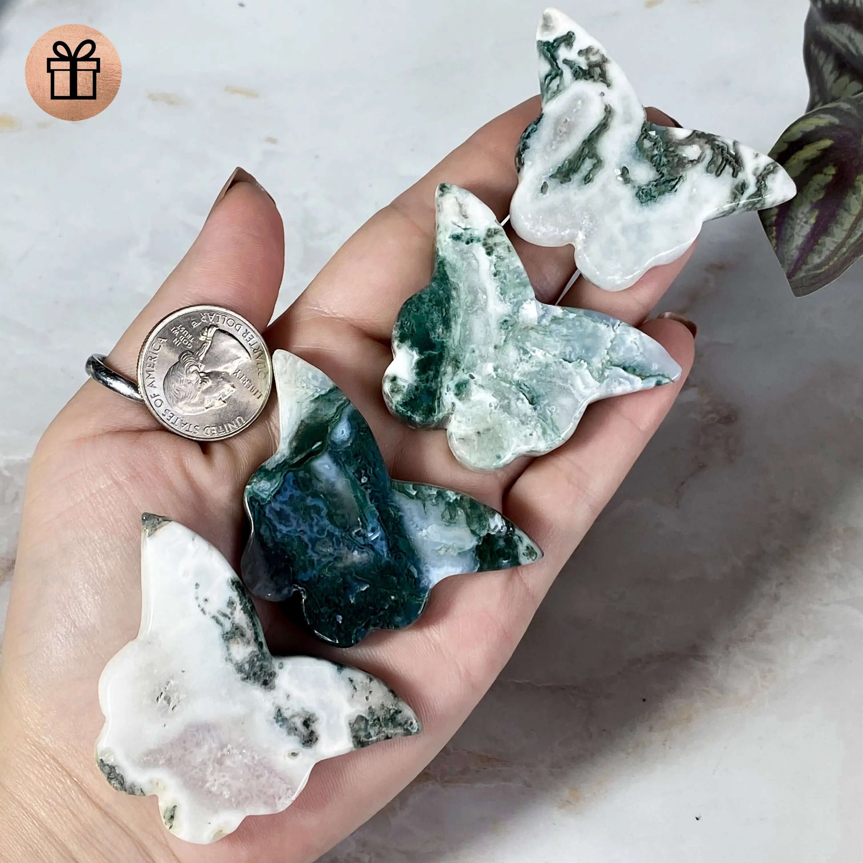 Moss Agate Butterfly Mooncat Crystals