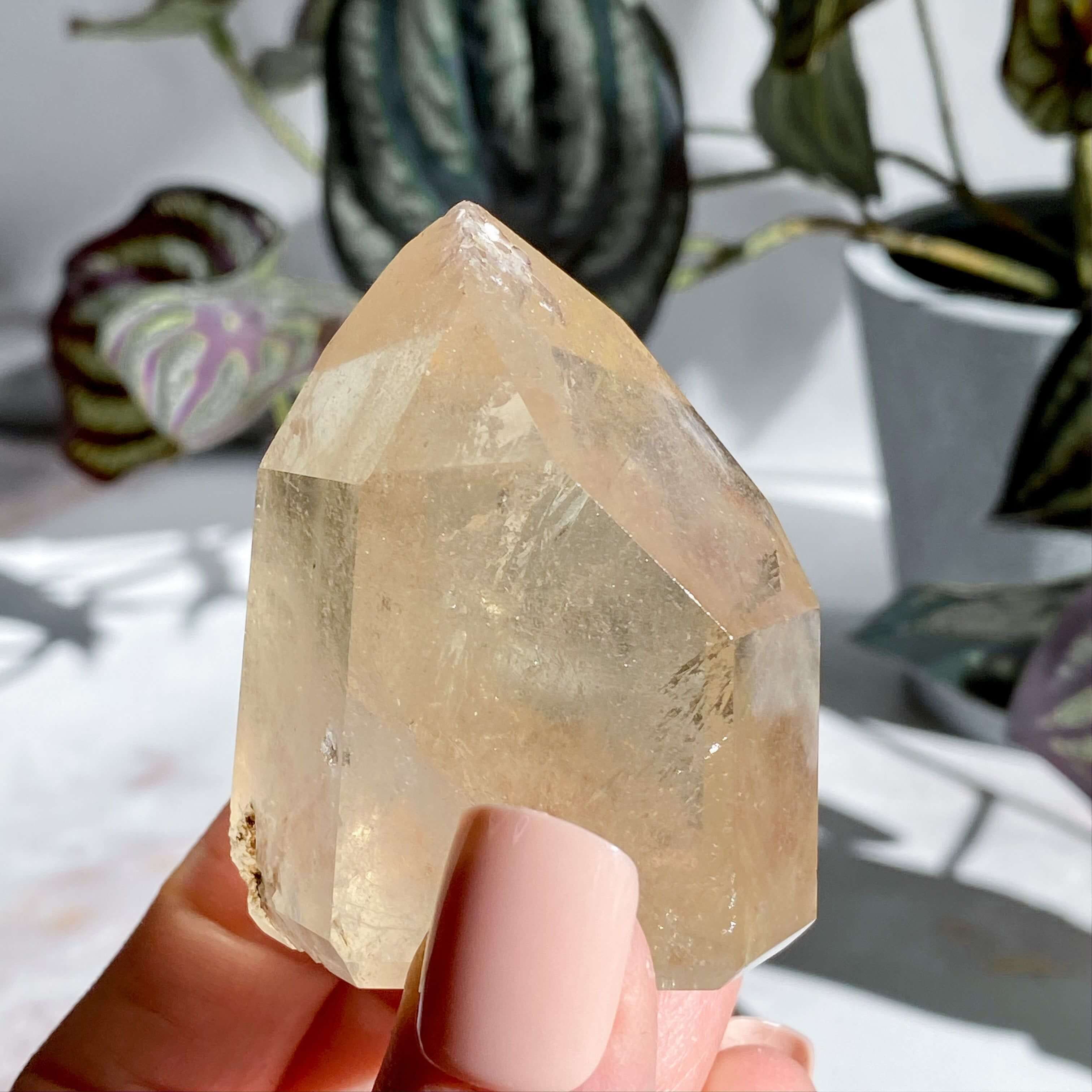 Natural UNTREATED Citrine Tower | Stock M Mooncat Crystals