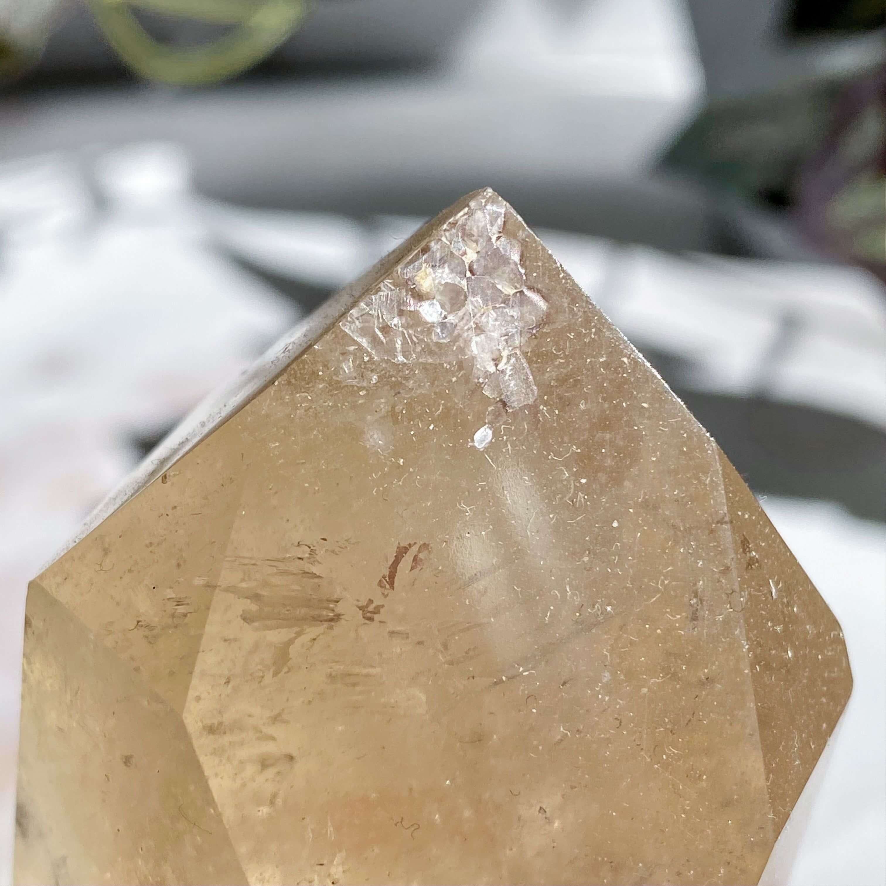 Natural UNTREATED Citrine Tower | Stock M Mooncat Crystals