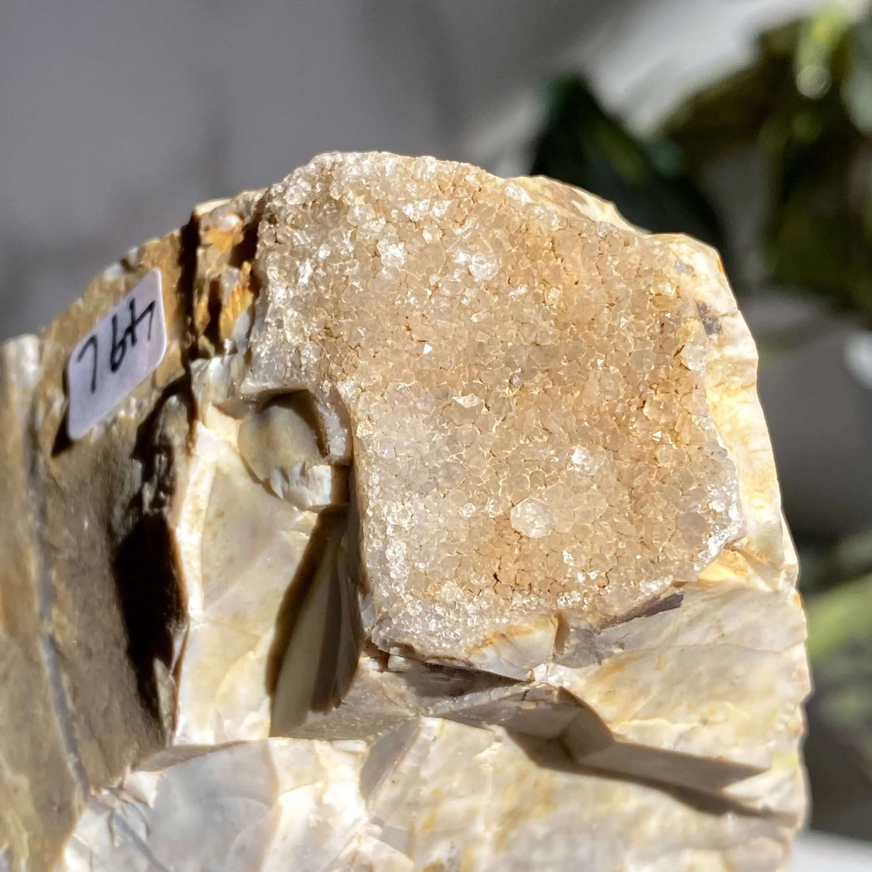 Ohio Flint | Stock L Mooncat Crystals