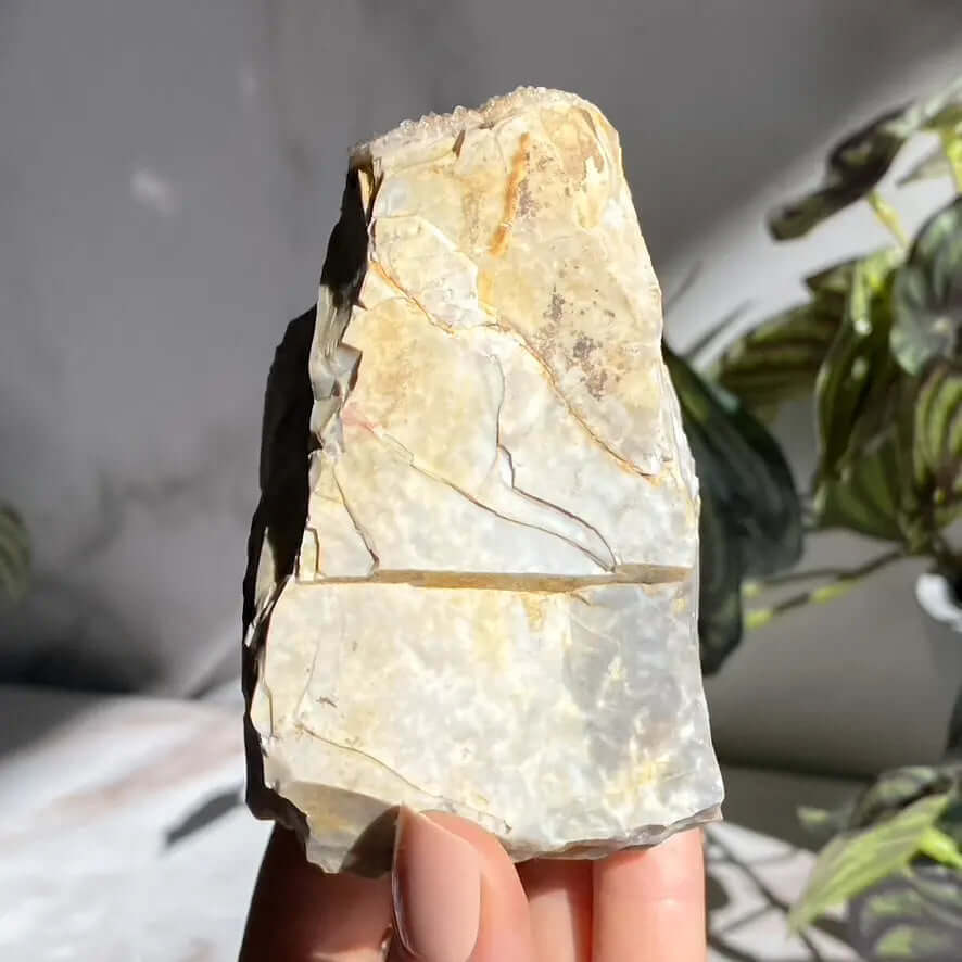 Ohio Flint | Stock L Mooncat Crystals