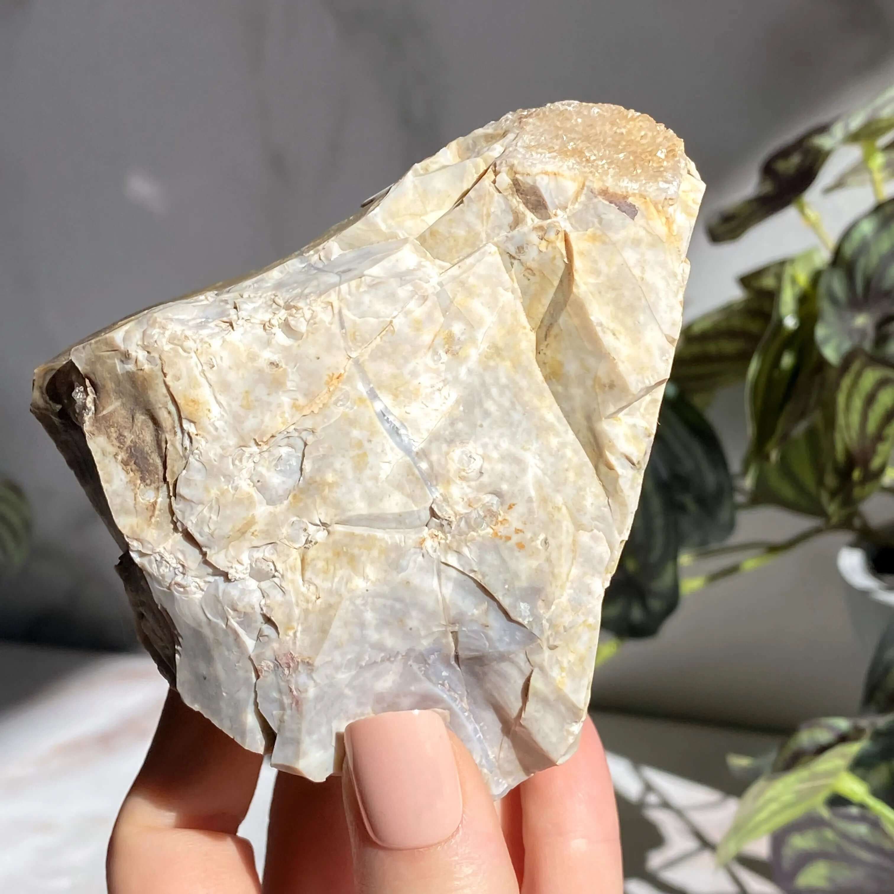 Ohio Flint | Stock L Mooncat Crystals