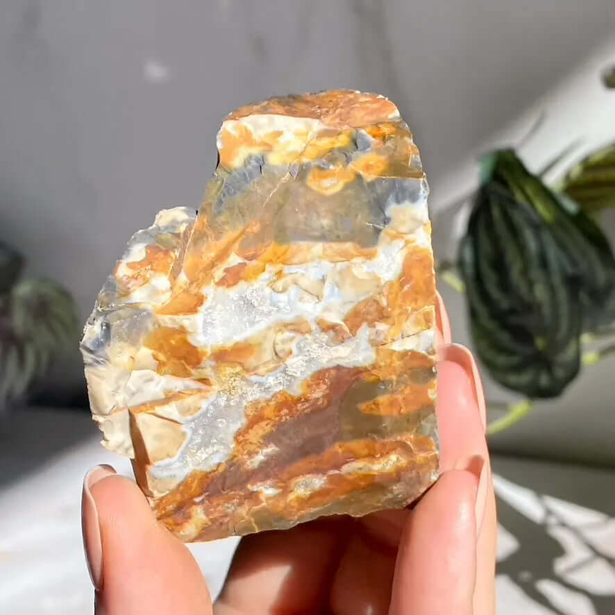 Ohio Flint | Stock M Mooncat Crystals