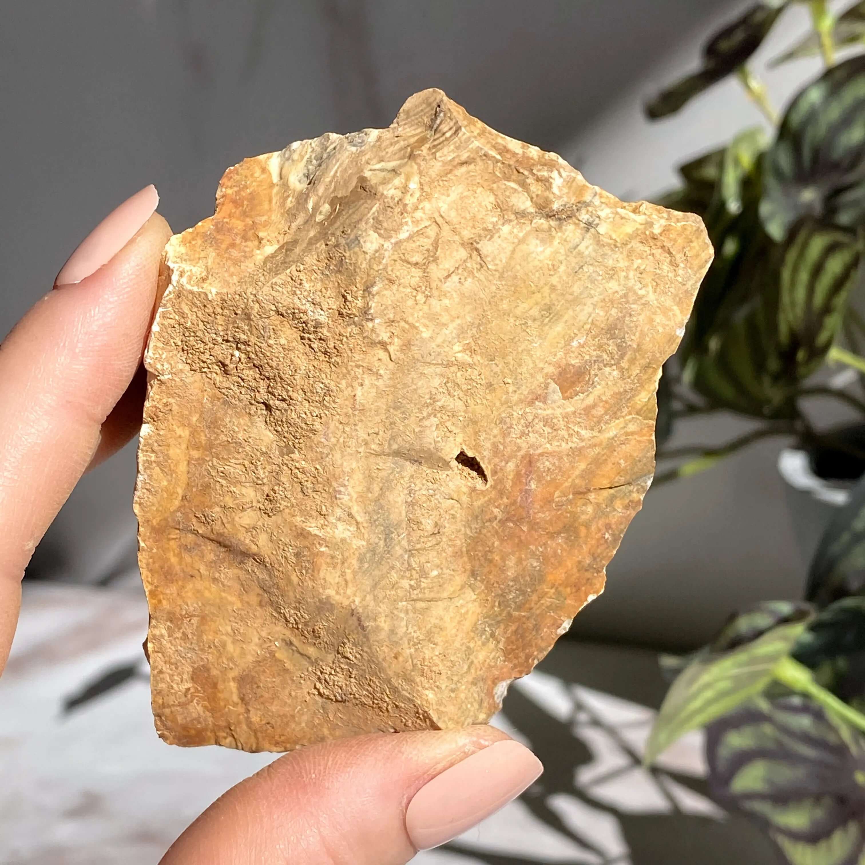 Ohio Flint | Stock N Mooncat Crystals