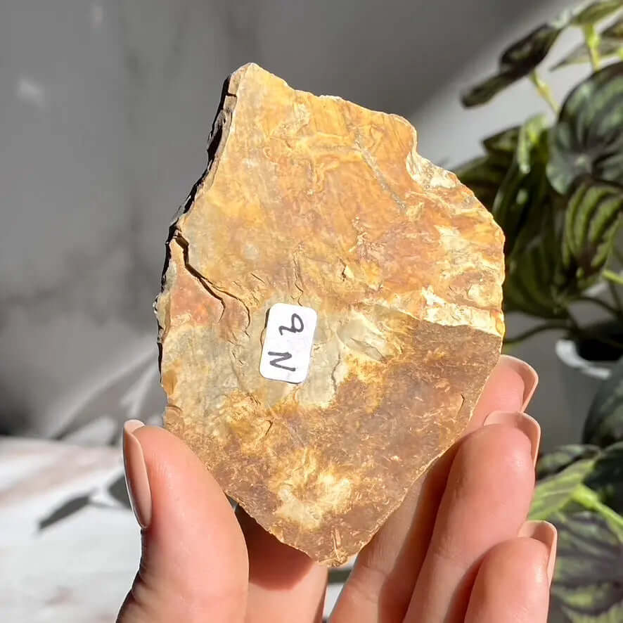 Ohio Flint | Stock N Mooncat Crystals