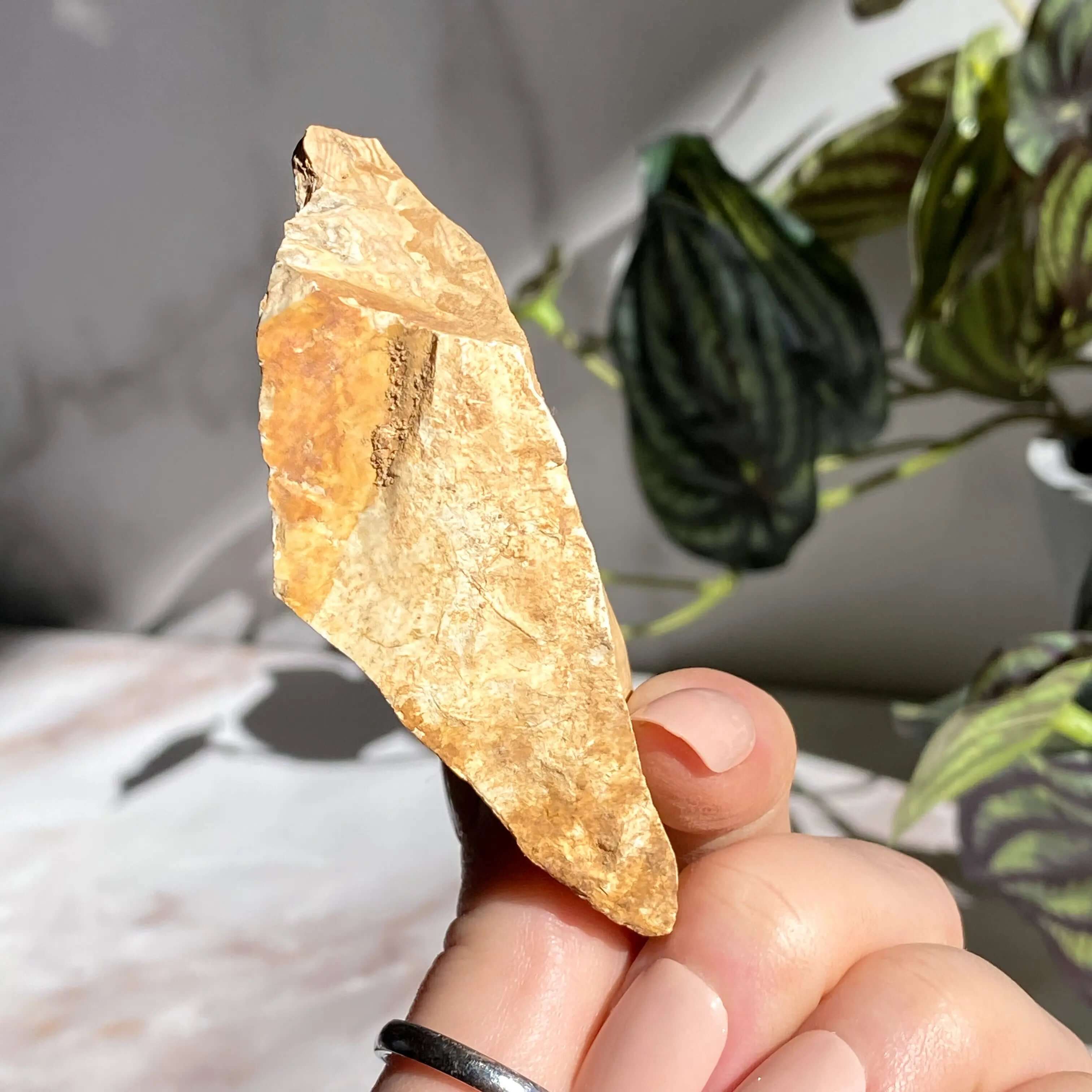 Ohio Flint | Stock N Mooncat Crystals