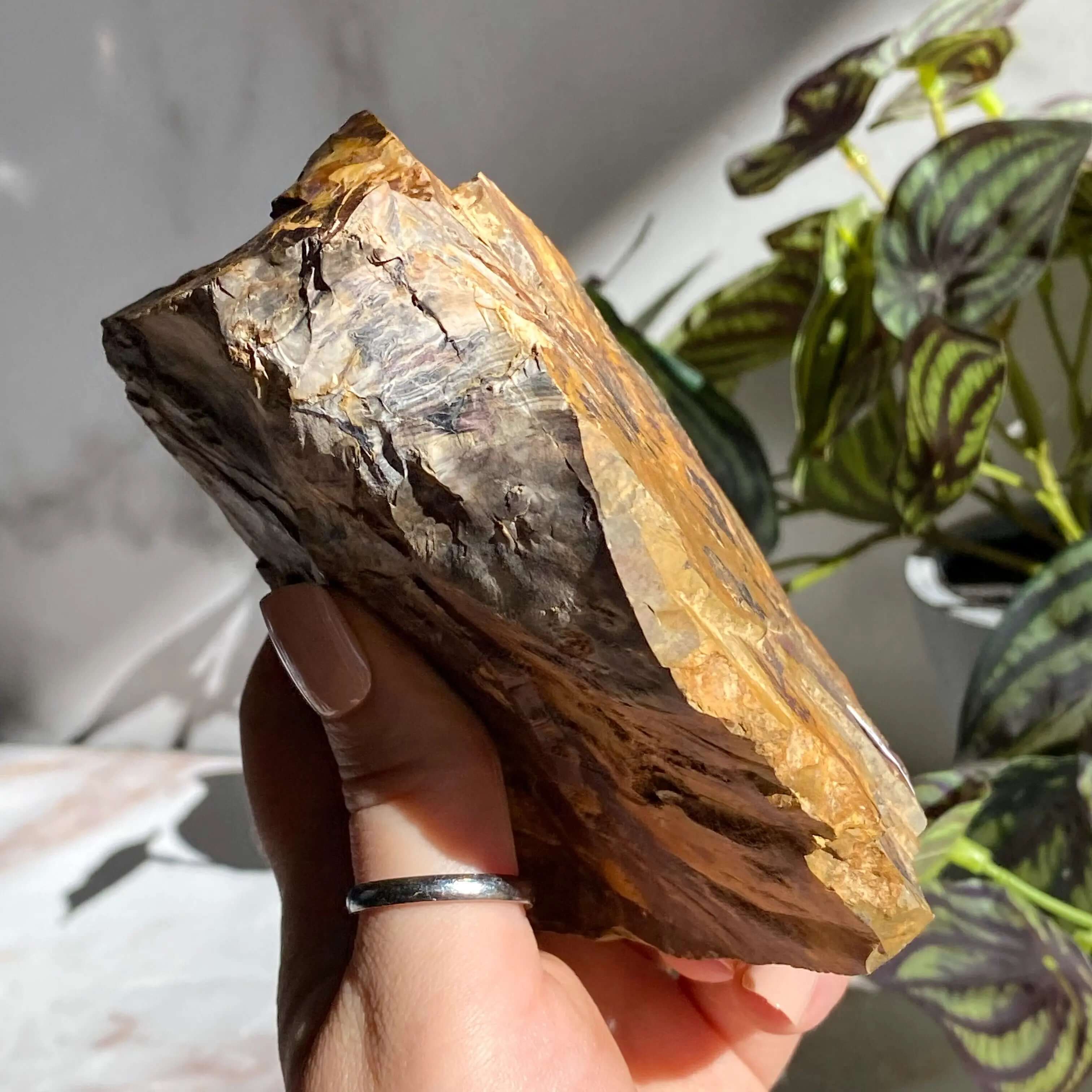 Ohio Flint | Stock P Mooncat Crystals